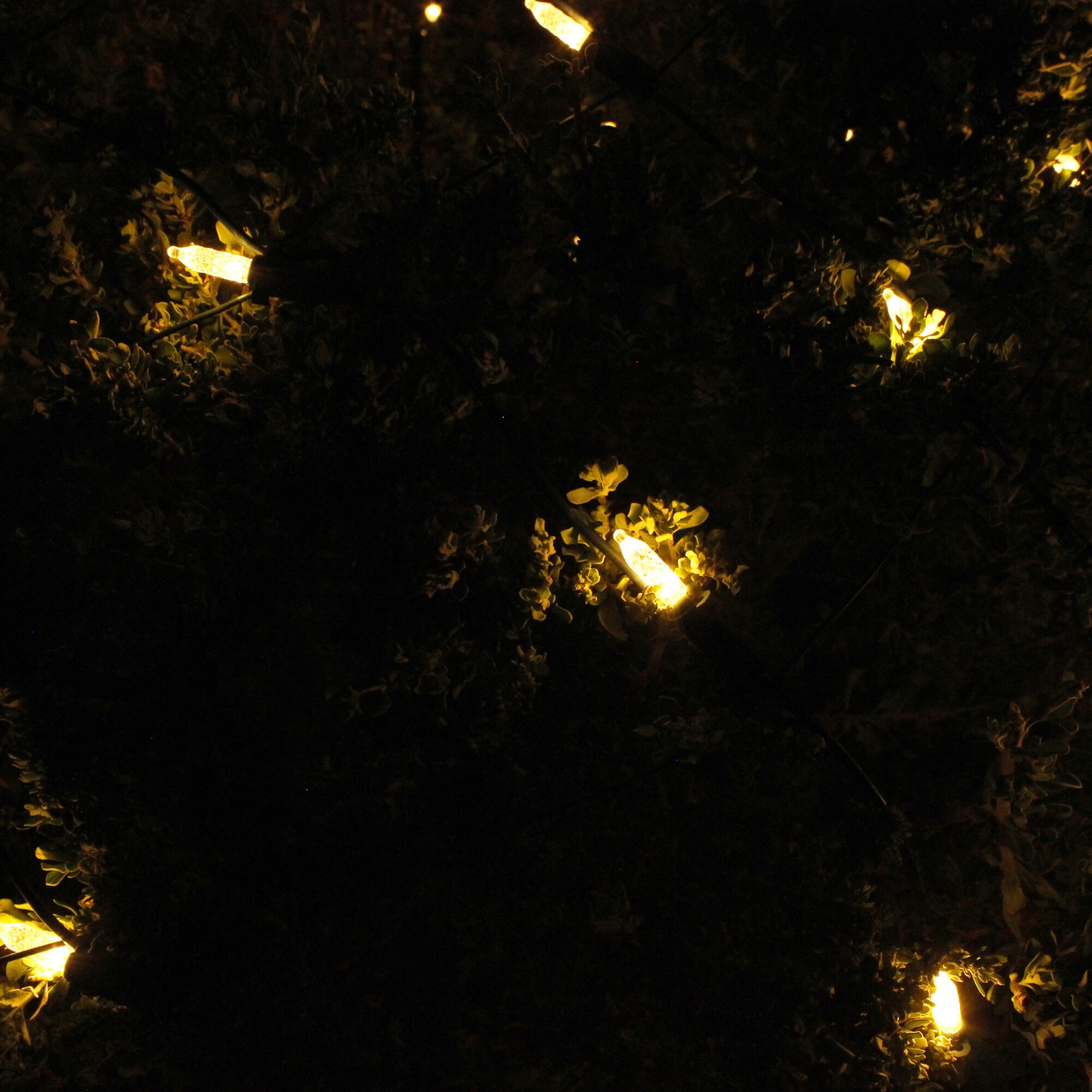 Joyfy 30291 Christmas-Net-Lights - View #2