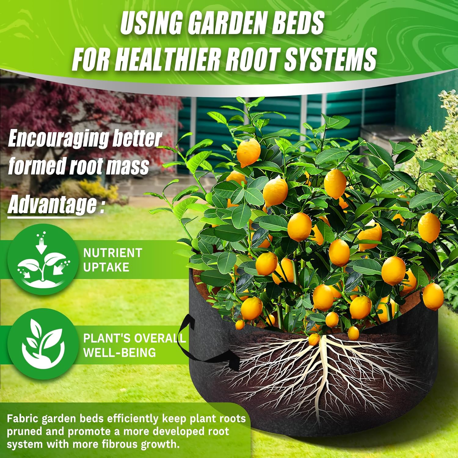 Luupatchy X0041FZYJX-AVALU Raised-Garden-Beds - View #3