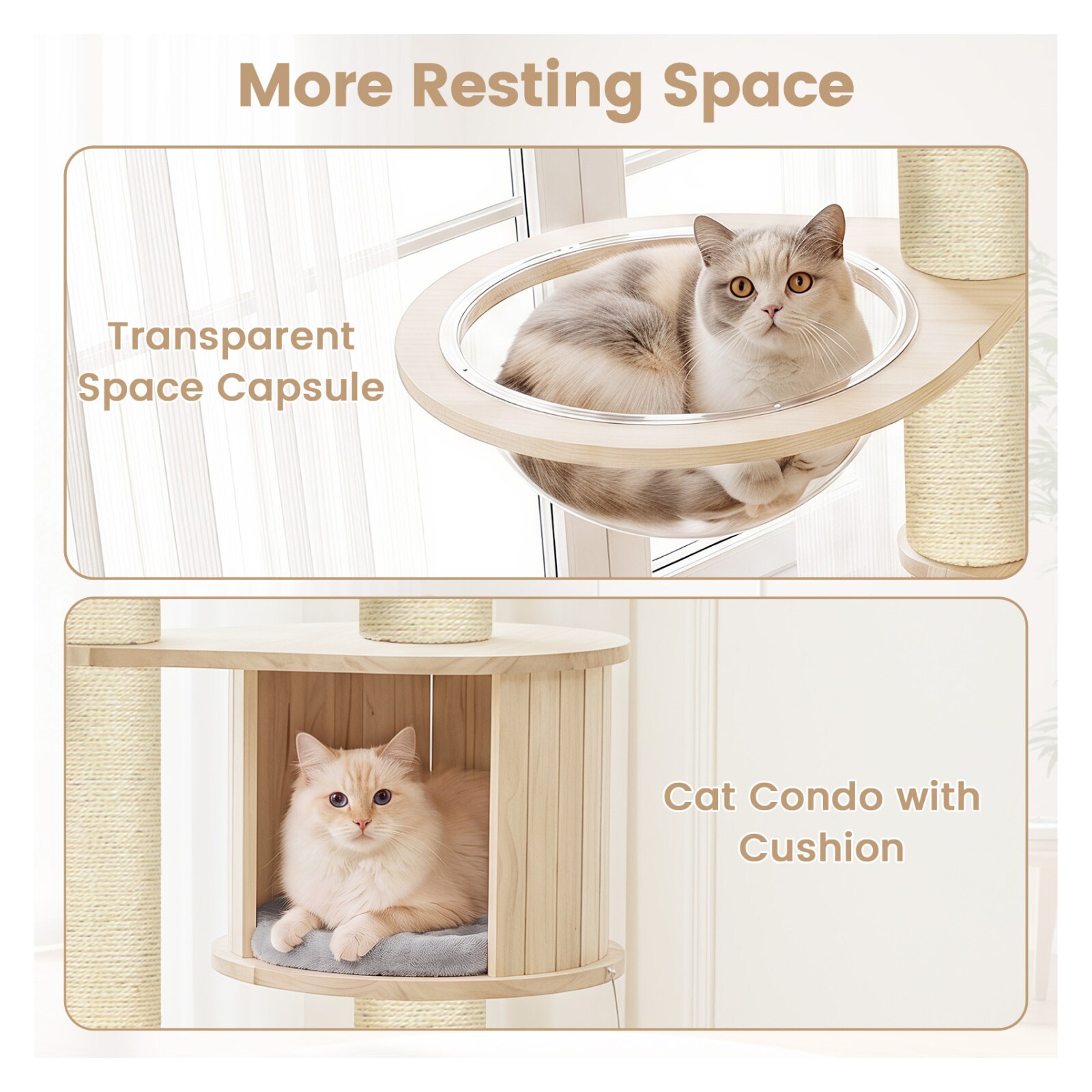 Volenca 53.5-in Solid Rubber Wood Cat Tree with Top Perch Condo Space ...