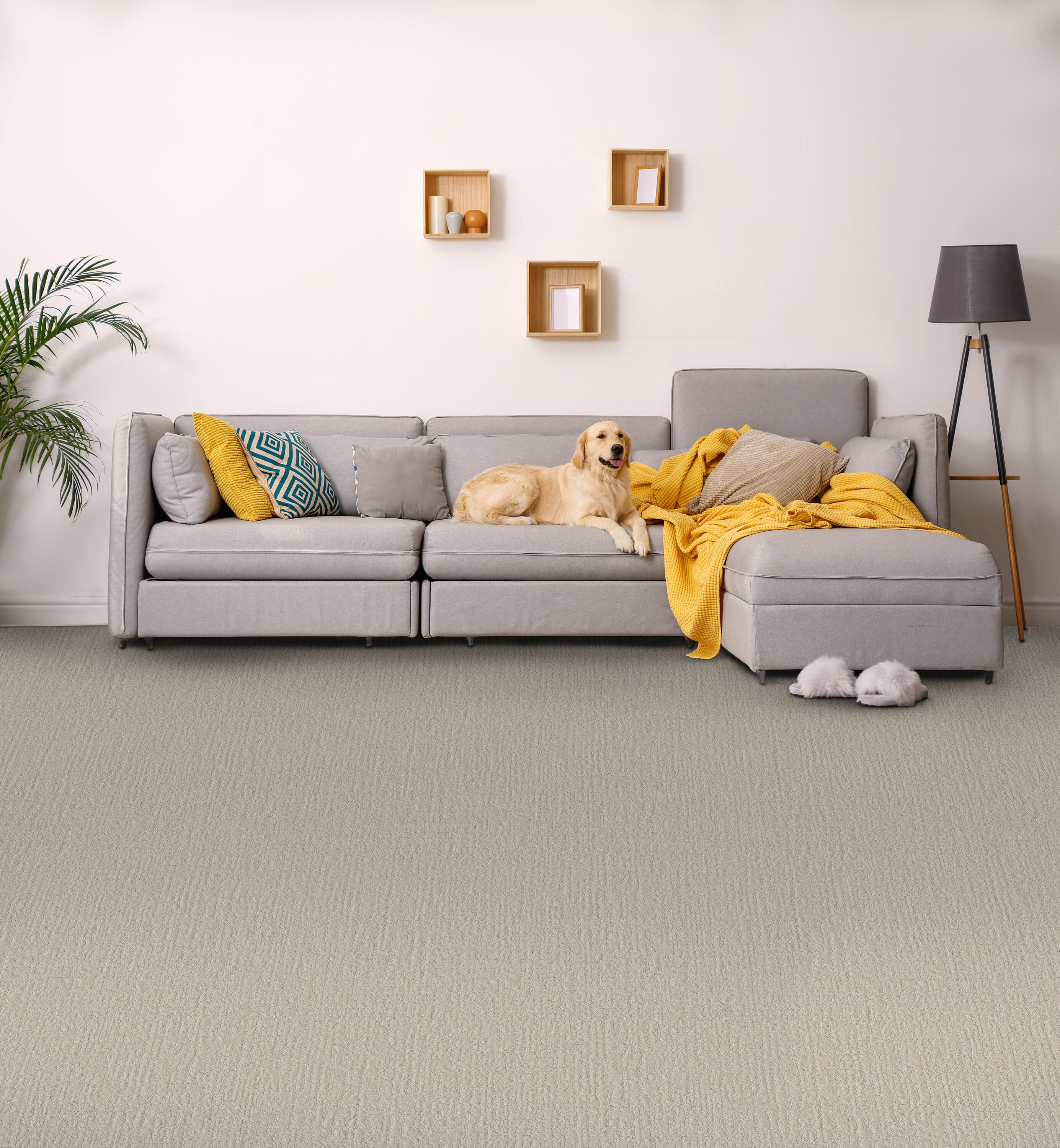 STAINMASTER PetProtect 7L85200109 Carpet-Panel - View #5