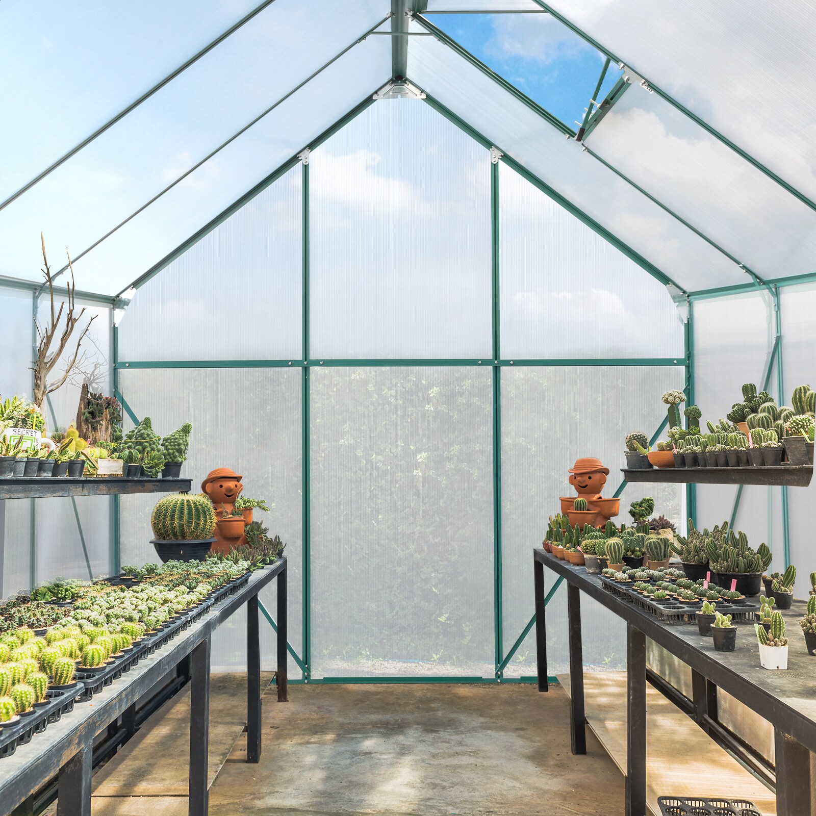 Outopee LO1G57000699+700 greenhouses - View #2