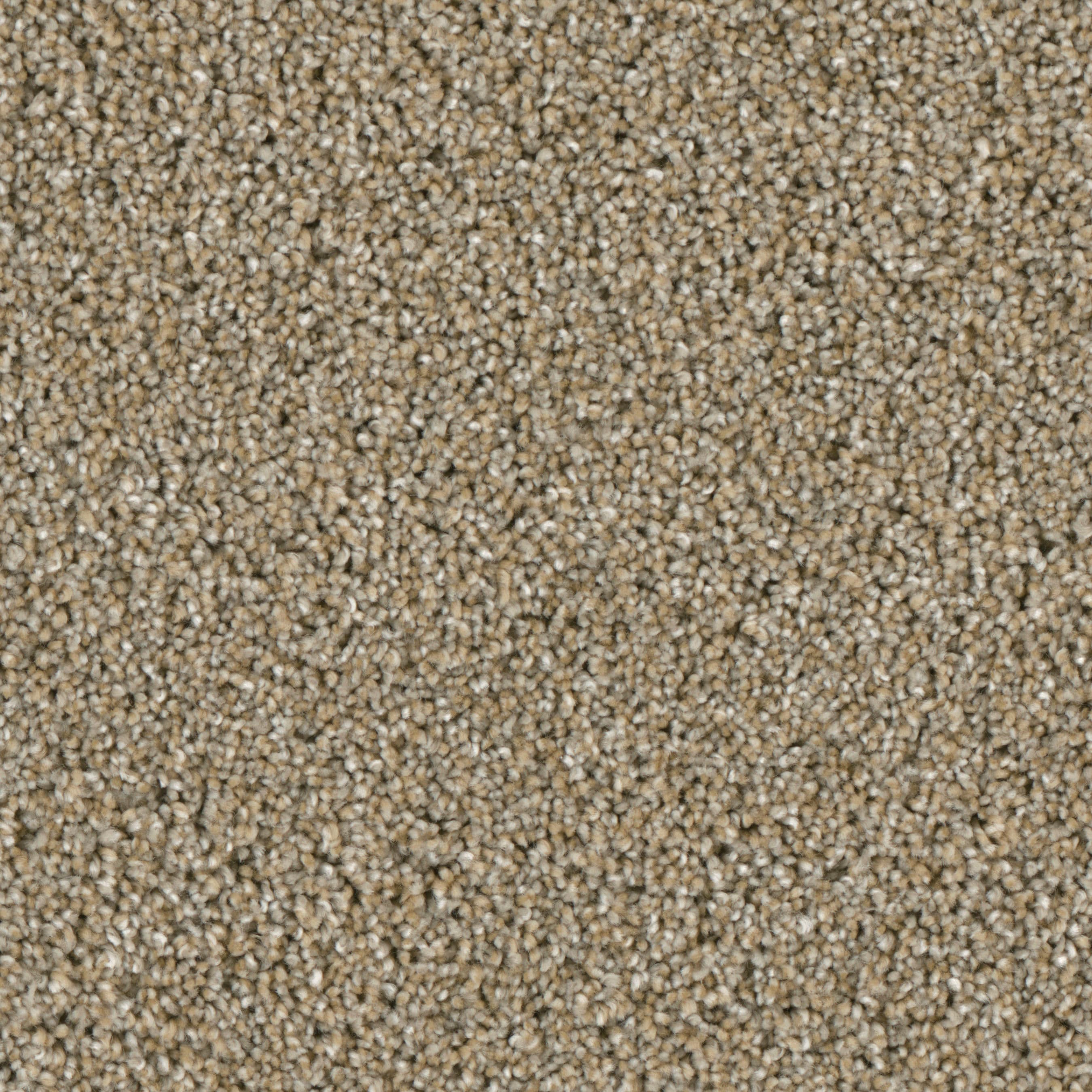 (Sample) Lenox Park Mansion Textured Indoor Carpet | - STAINMASTER S9255-121-S
