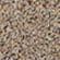 Beachwood Sand