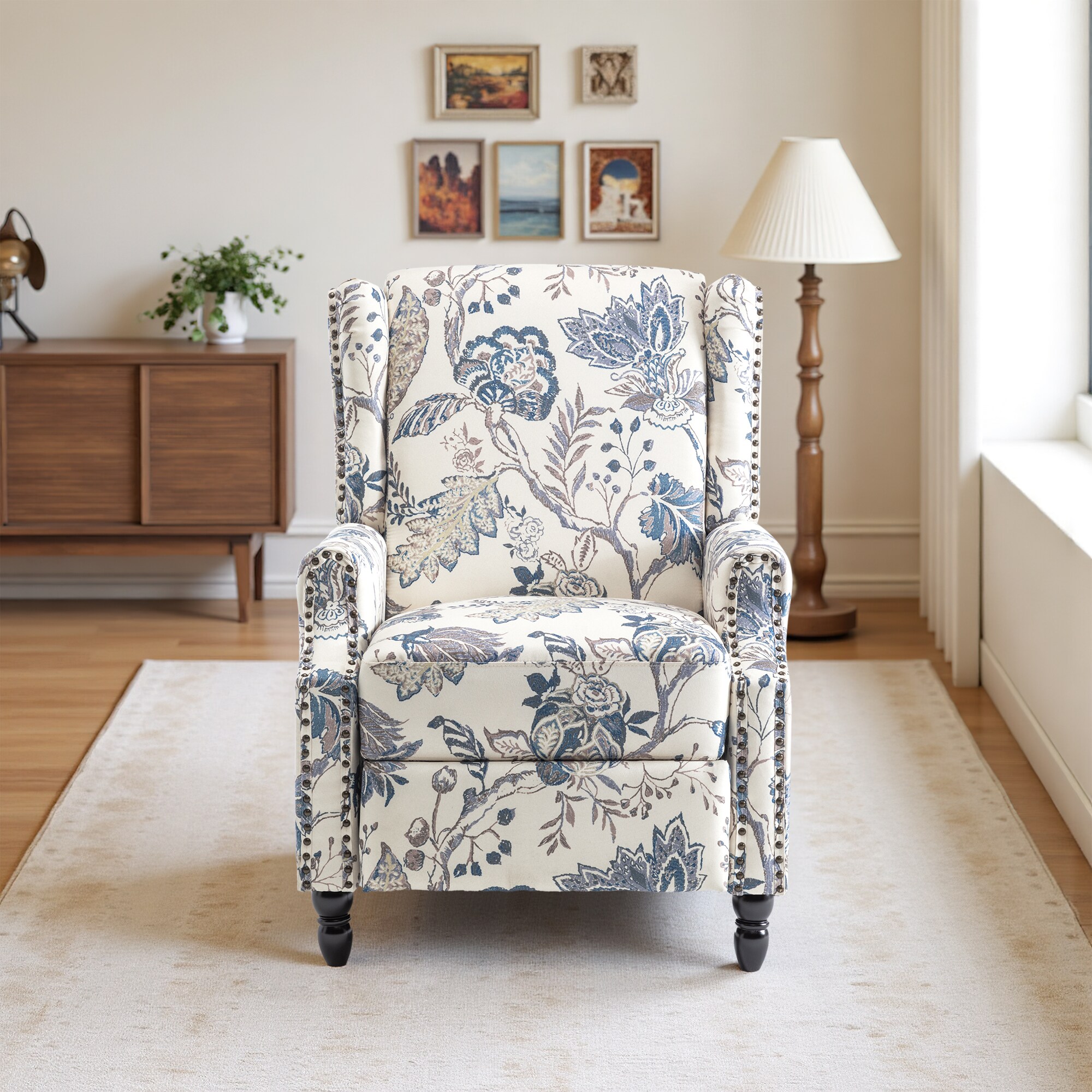 Dreamsidea LS-CH58-PLA BLU recliners - View #2