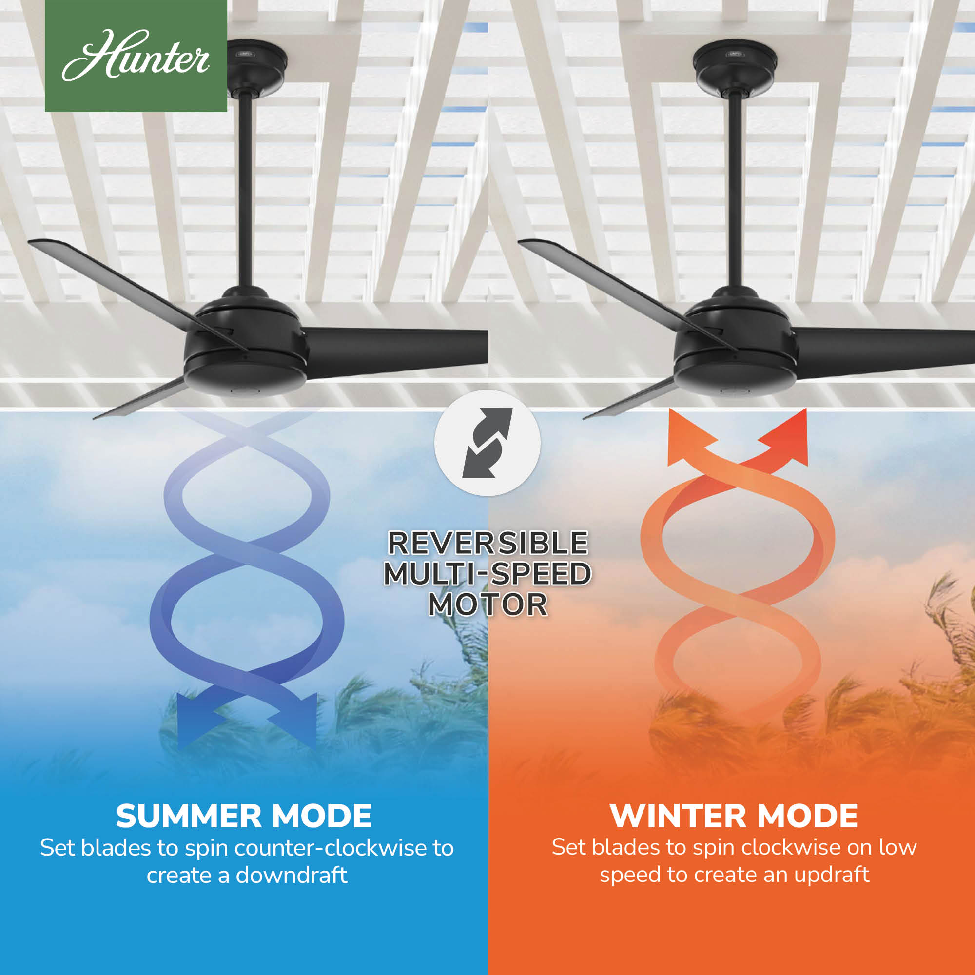 Hunter 59609 Ceiling-Fans - View #7