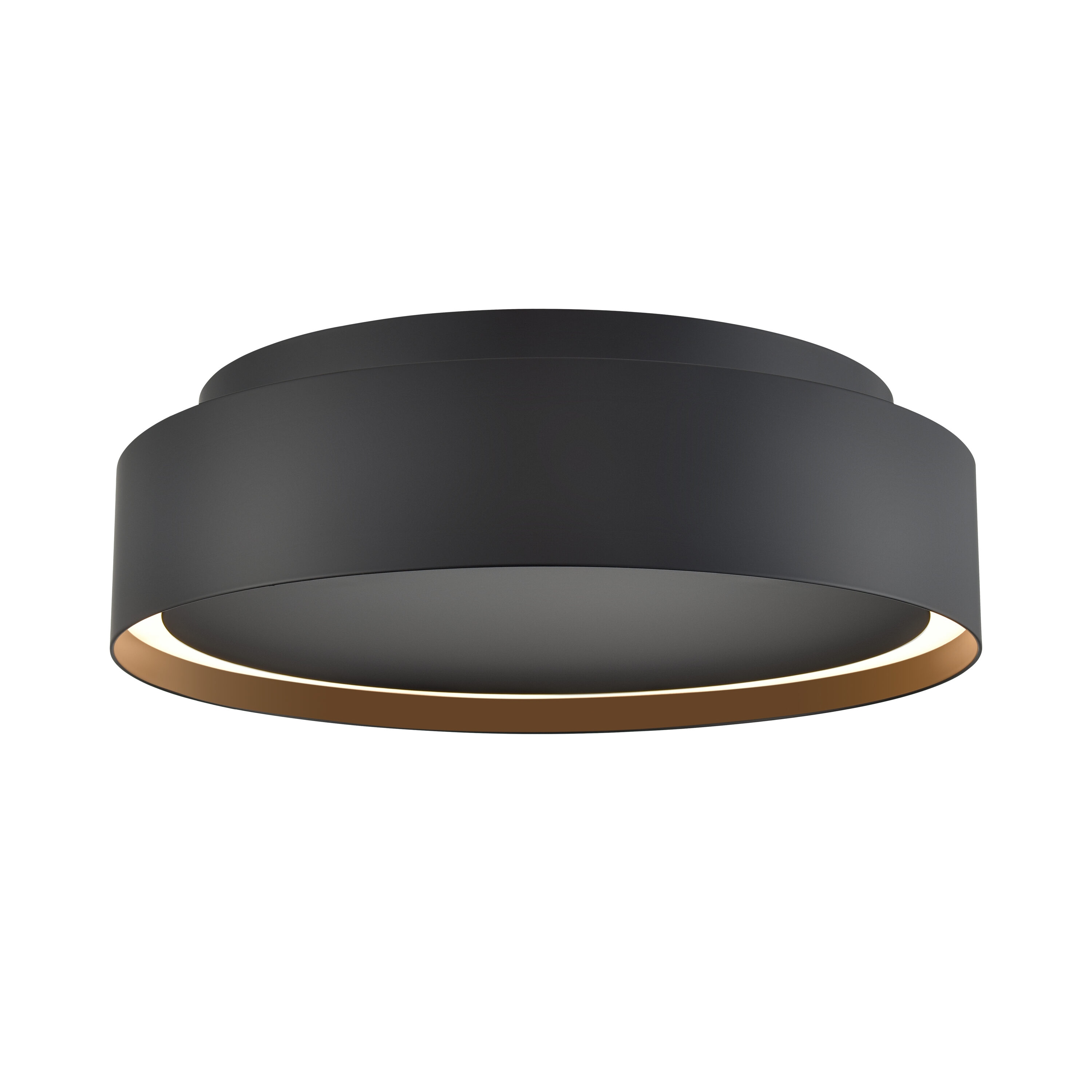 Westmore by ELK Lighting LW-202302010116 Birch 1-Light Matte Black LED Flush Mount Light