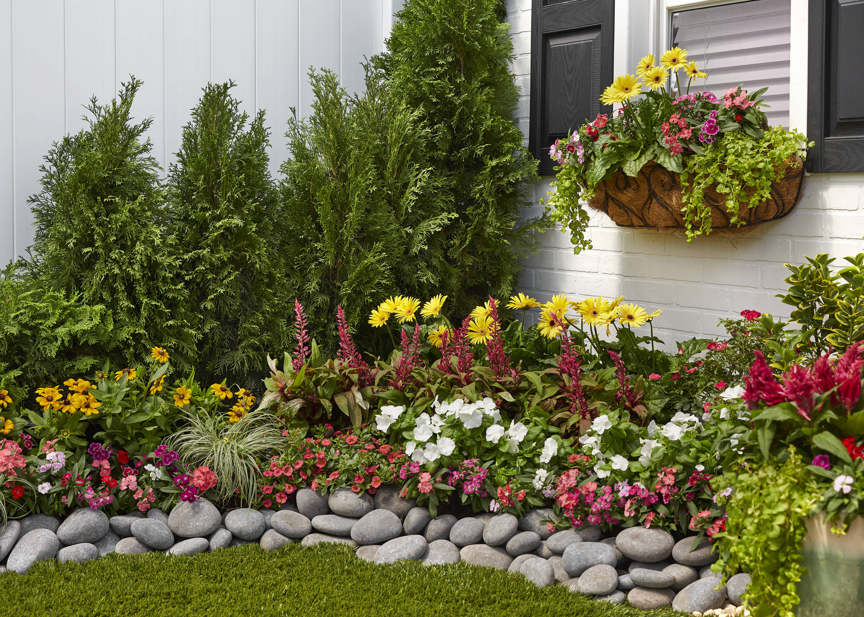 Proven Winners 4788 annuals - View #4