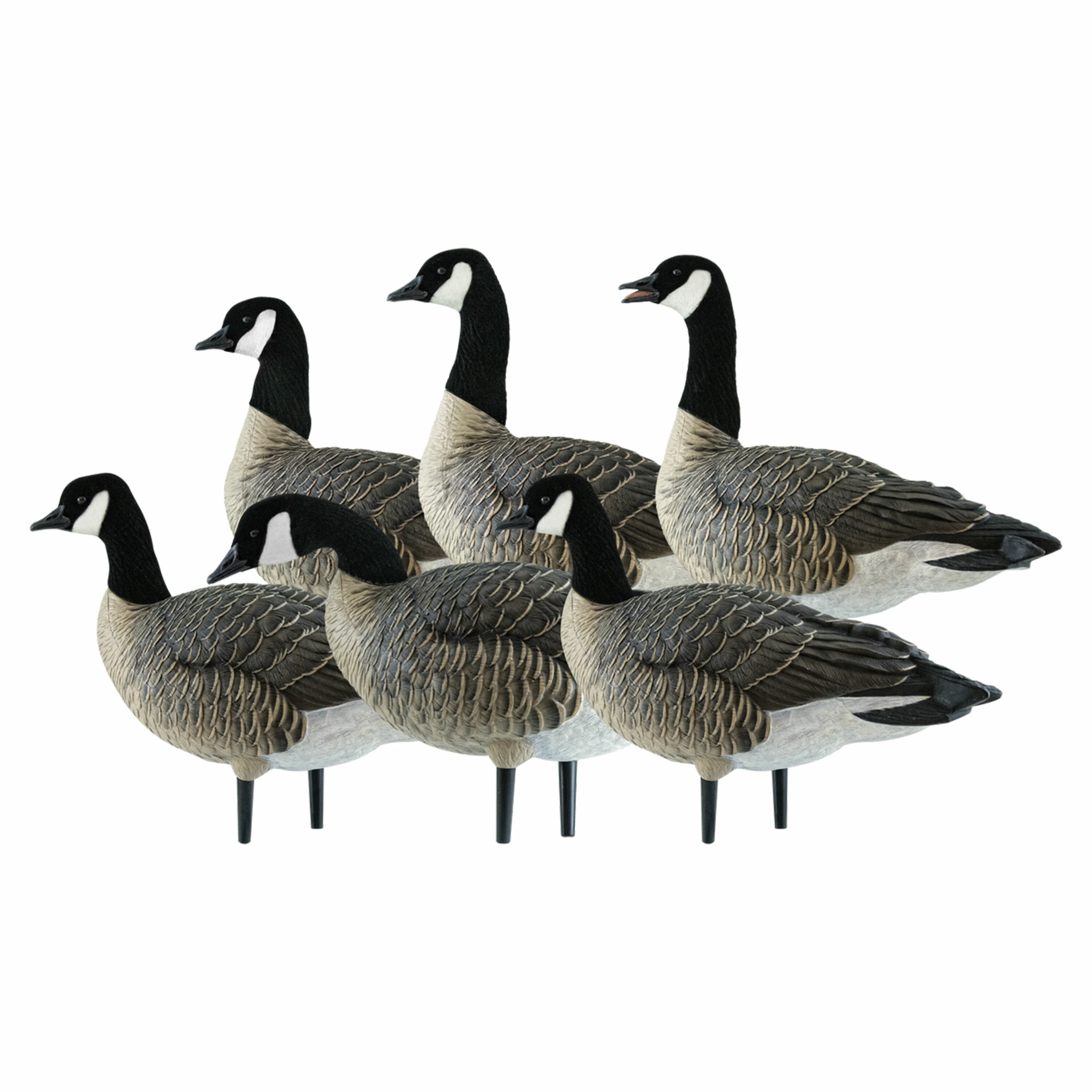  Avian X 399279 Hunting-Equipment - View #8