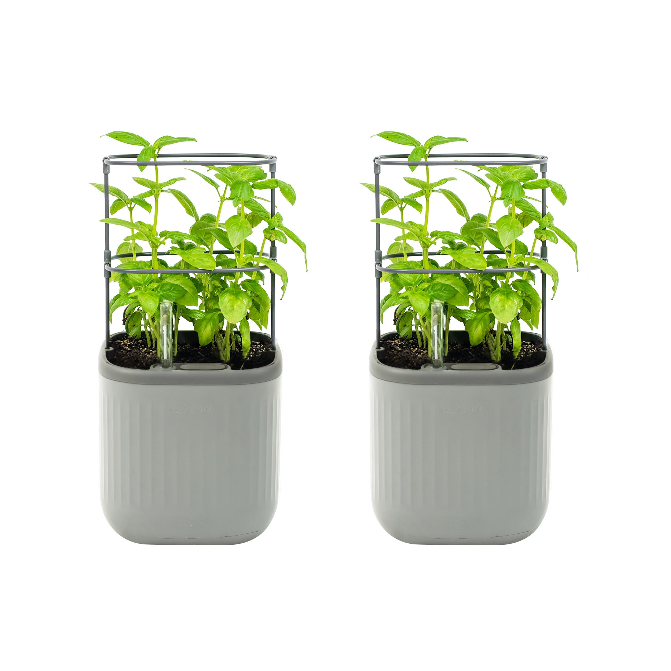 Vego Garden VPMPGY-2 2 -Pack Rectangle 7-in W Medium Gray Recycled plastic Contemporary/Modern Indoor/Outdoor Planter with Drainage Holes with Self Watering