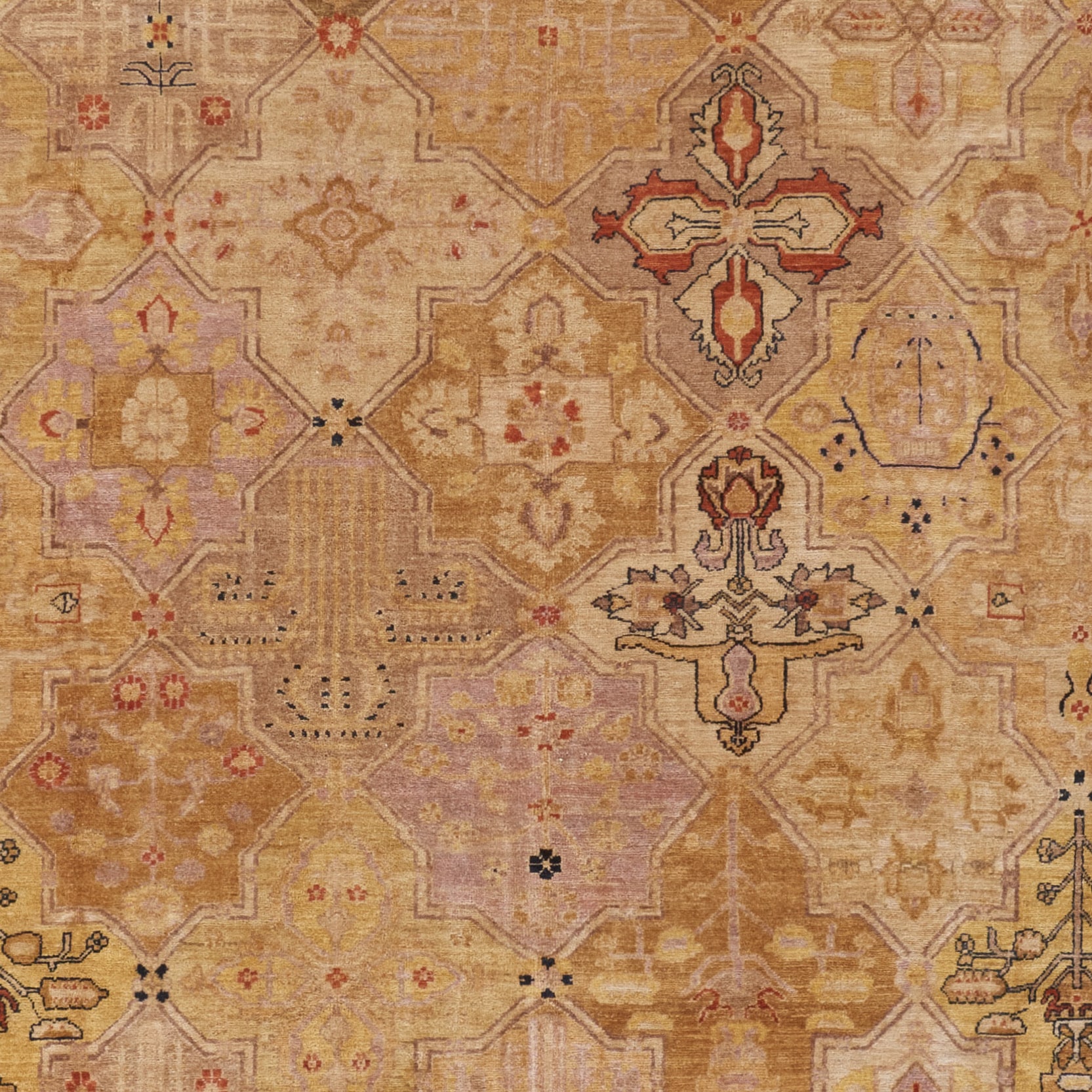 Safavieh P109A-8 rugs - View #3
