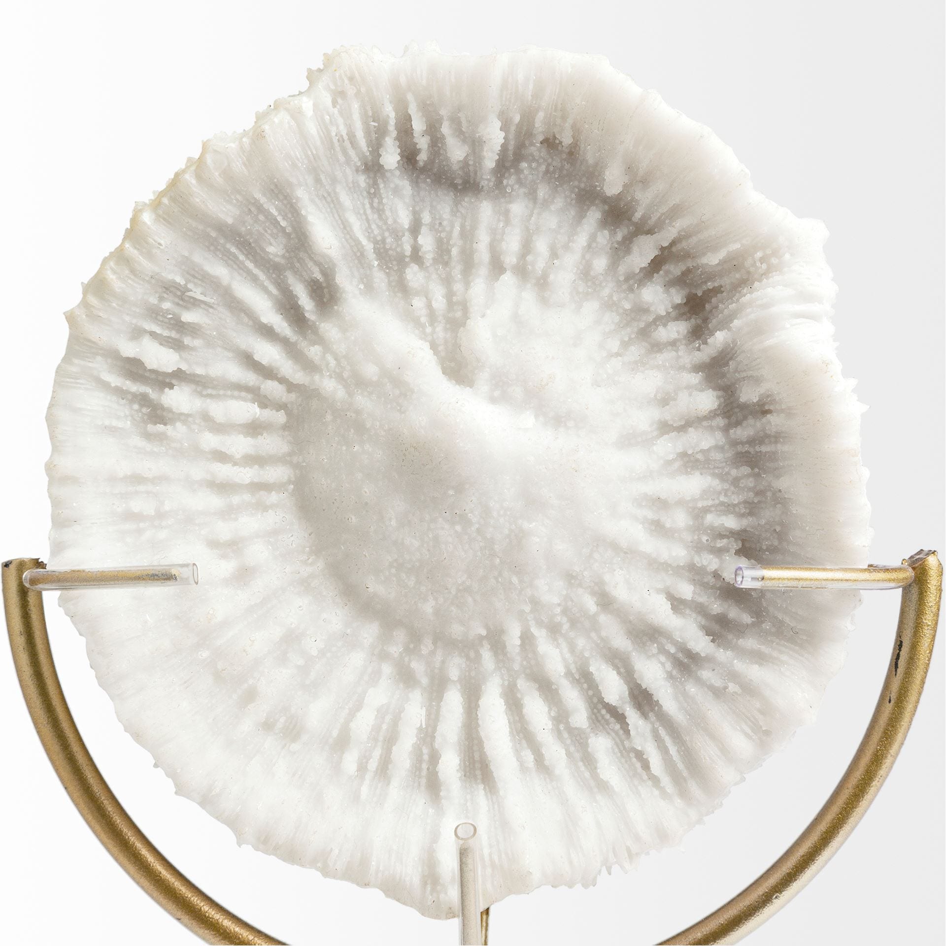 Mercana 67984 Decorative-Accessories - View #2