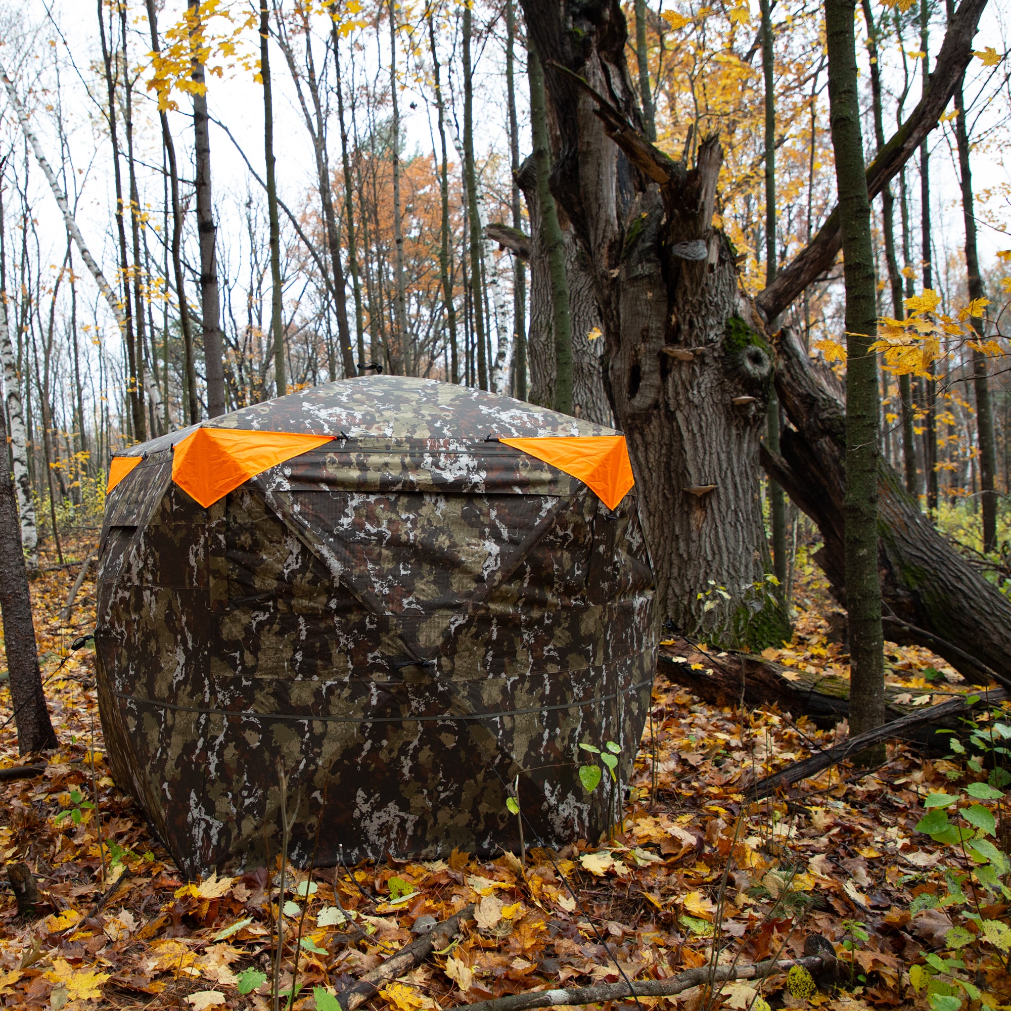Barronett Blinds SP500CH Hunting-Blinds - View #10