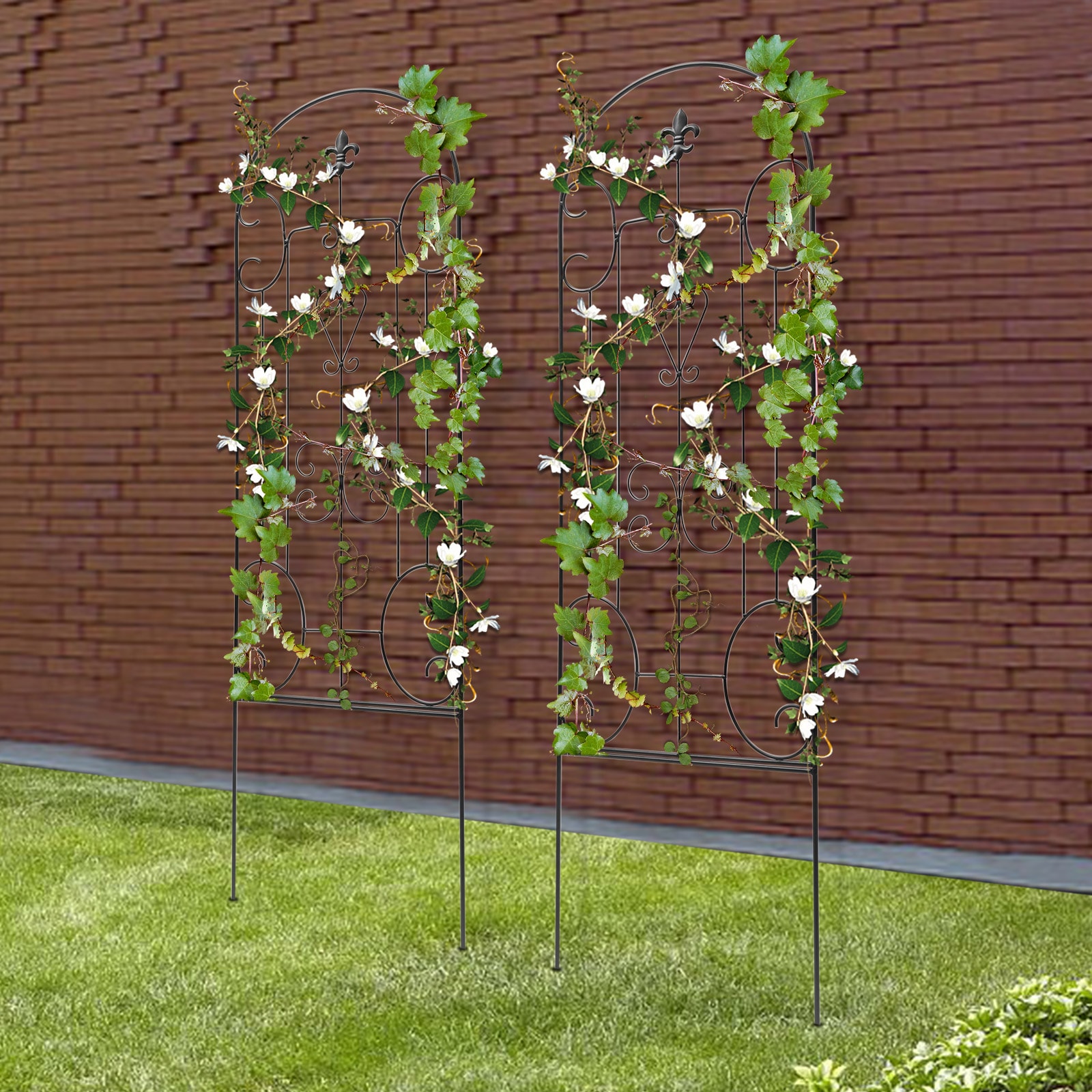 CNCEST YLJHAS3EWDZJ8 Garden-Trellis - View #9