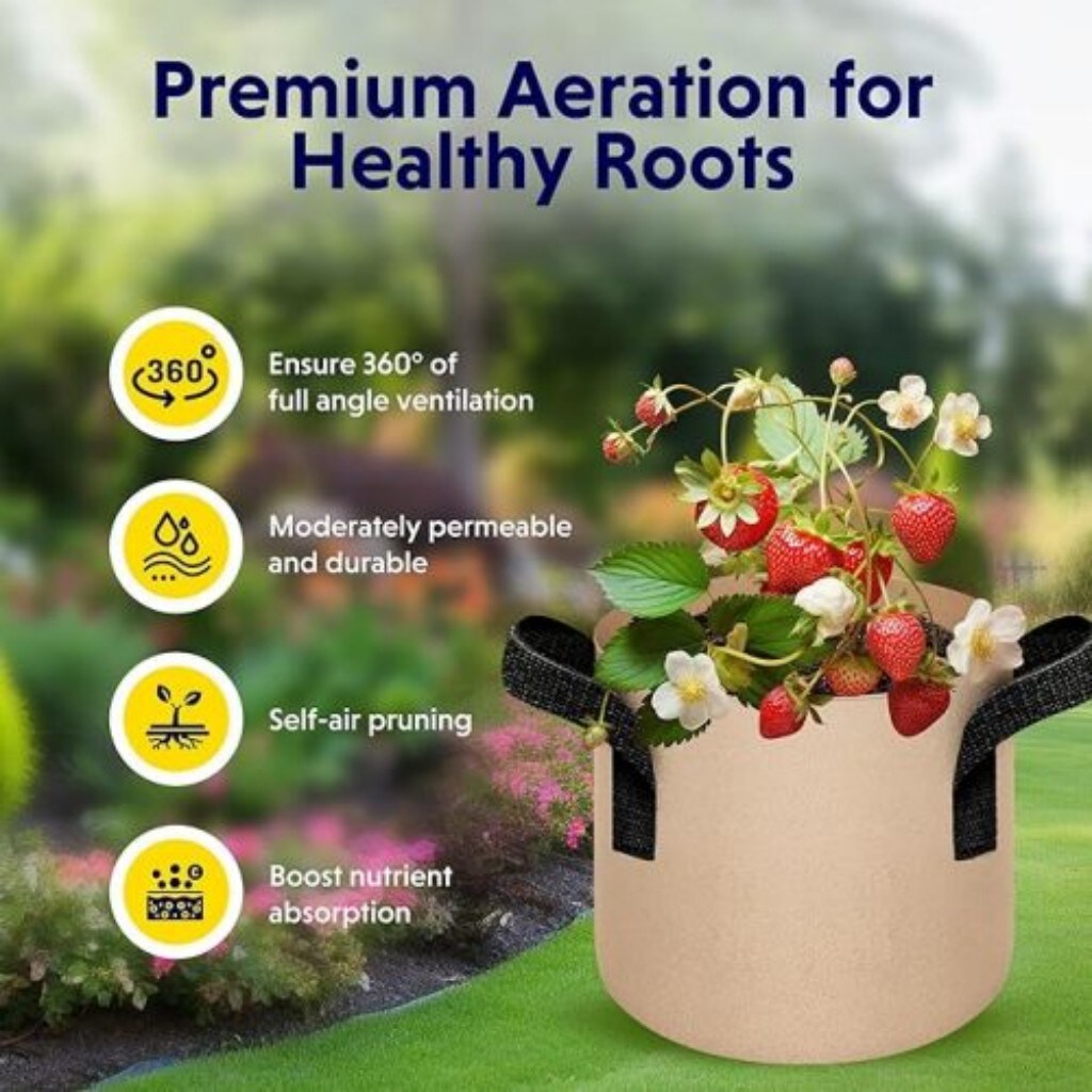 AHIOU HOME ZAAHG-P312444BG Planter-Window-Box - View #3
