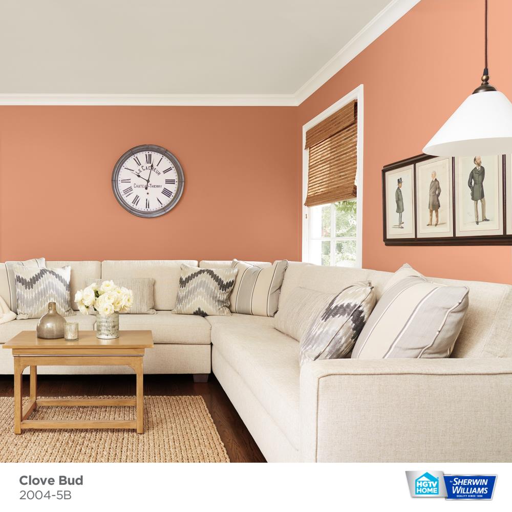 HGTV HOME by Sherwin-Williams 2004-5B-2557206 Int-Ext-Paint - View #3