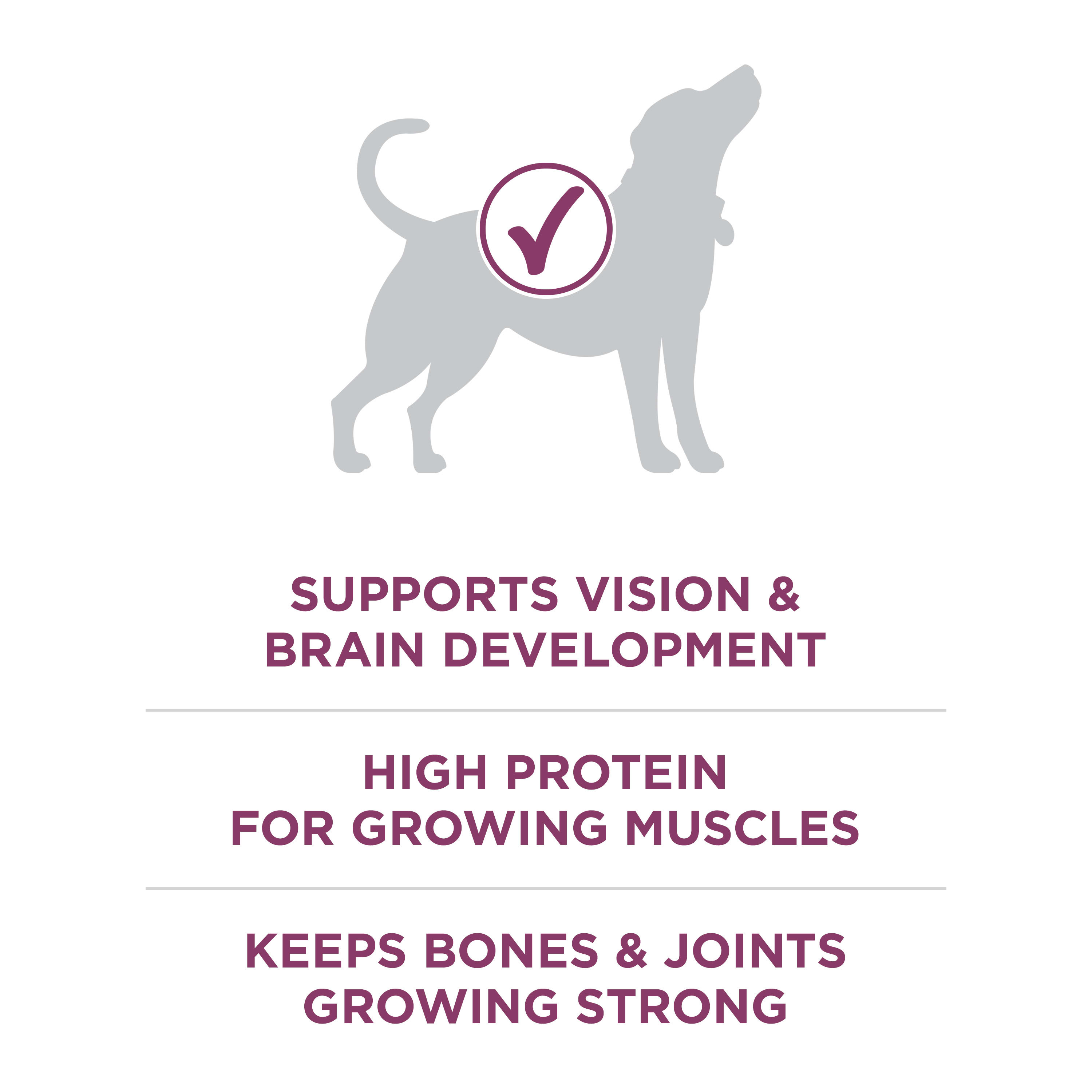 Purina ONE 001780014935 Wet-Dog-Food - View #4