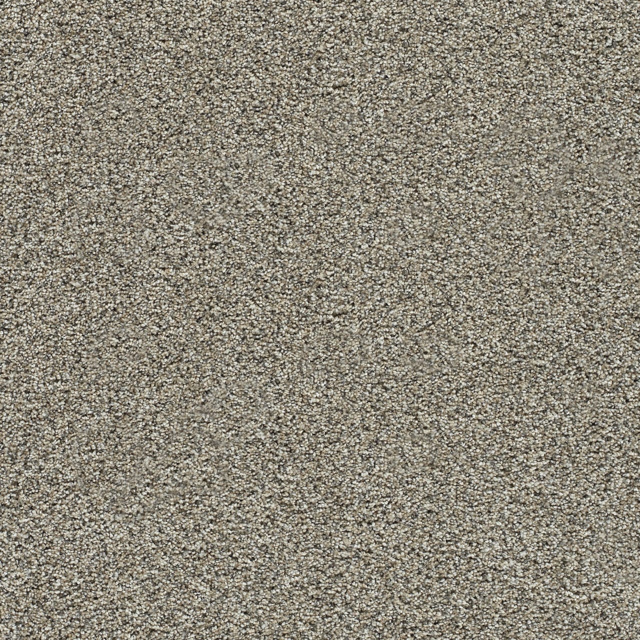 STAINMASTER PetProtect L3012-1003-0808 (Sample) Cavalier Tan 65-oz sq yard Solution-dyed polyester Textured Indoor Carpet