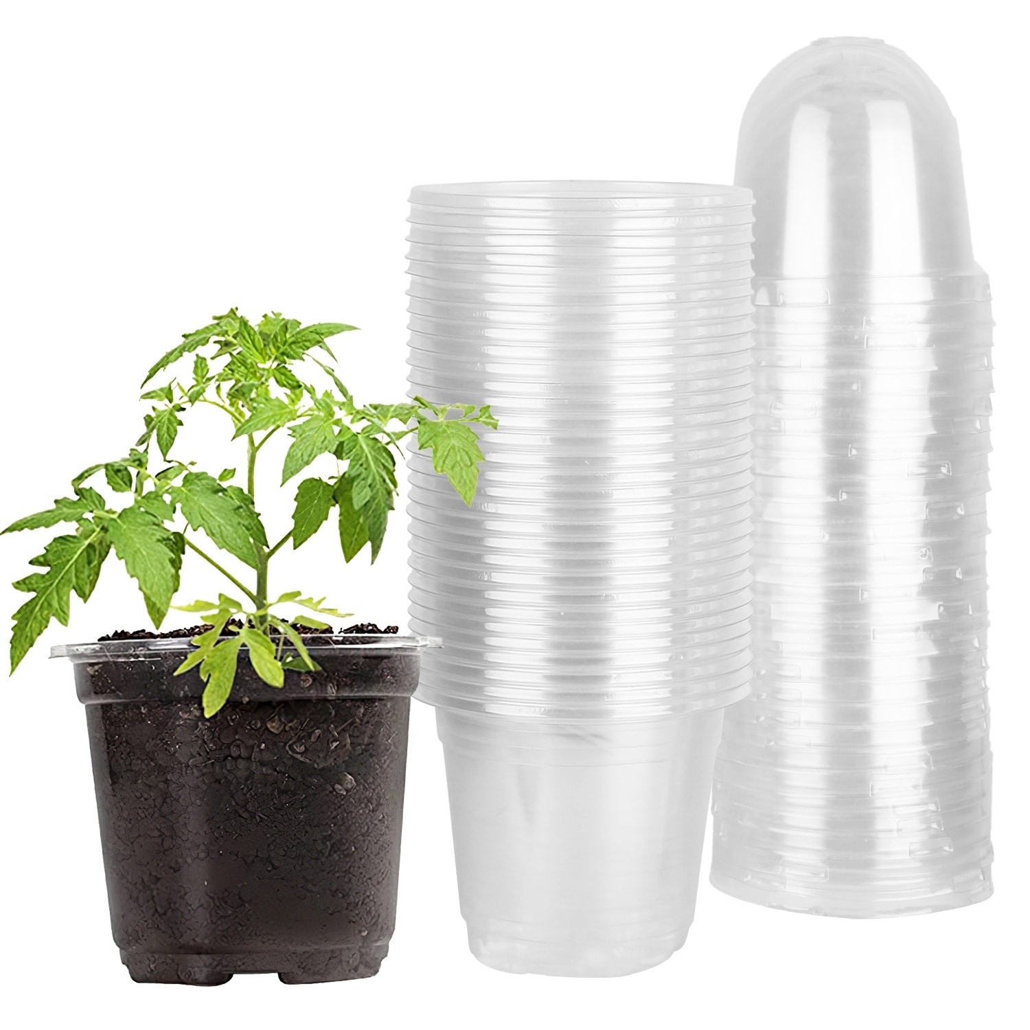 AHIOU HOME ZAAHD-H2JNSYPP Planter-Window-Box - View #2