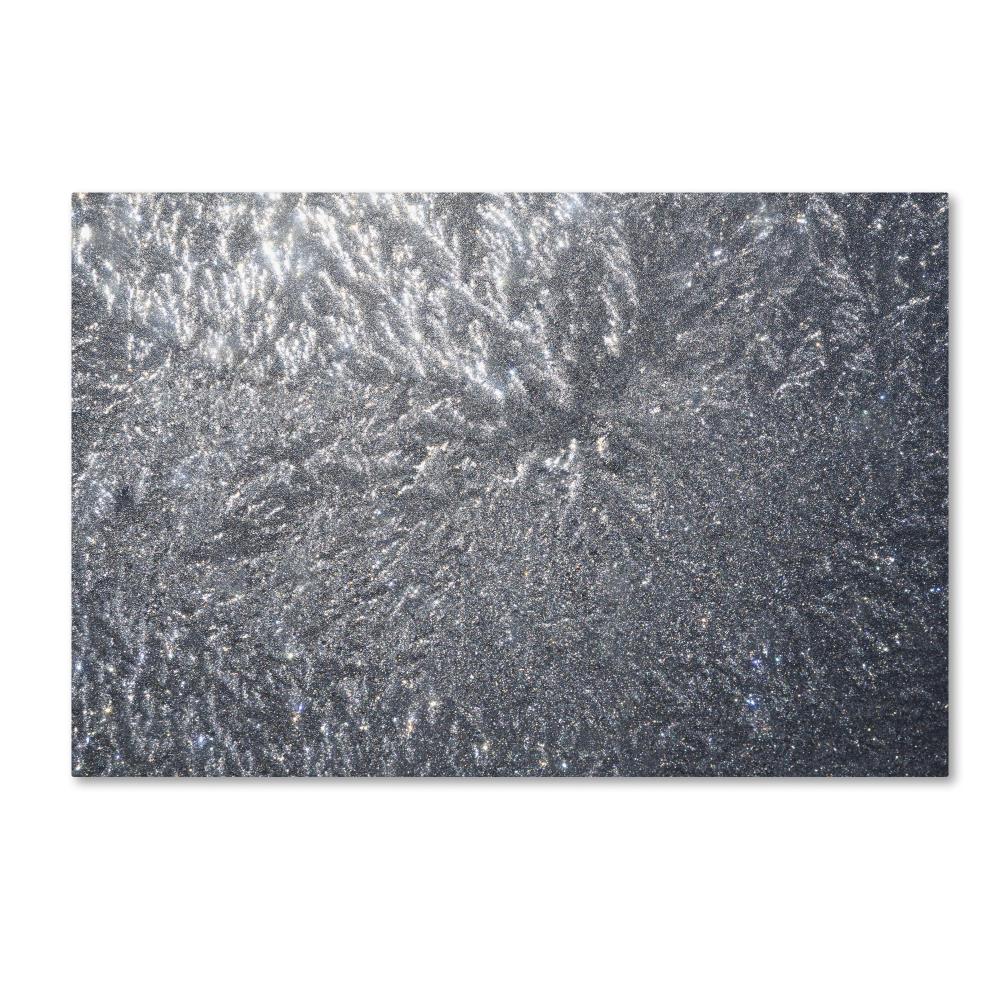 Trademark Fine Art KS01100-C3047GG Framed 30-in H x 47-in W Photography Print on Canvas