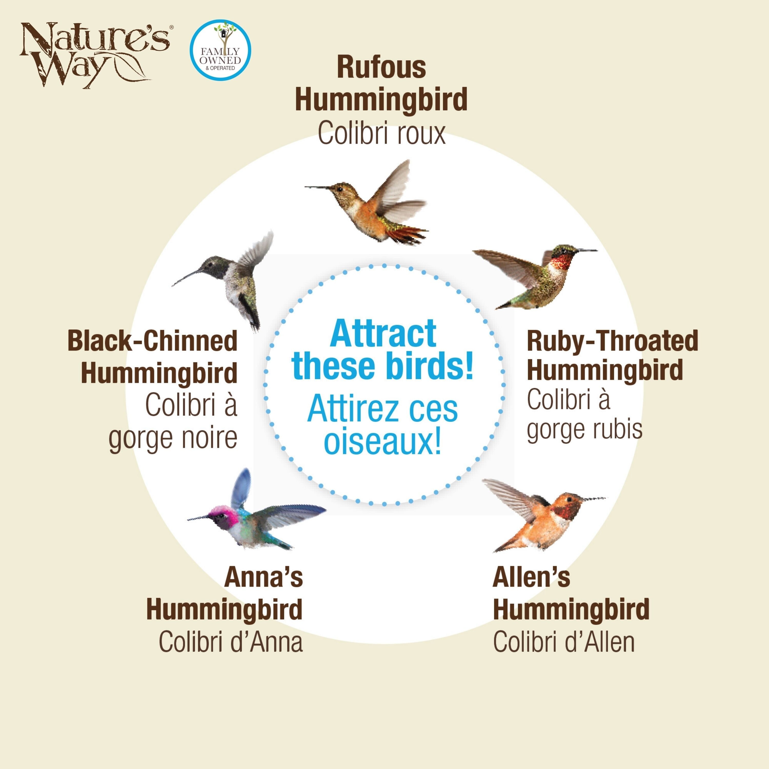 Nature's Way ANTGHF5-IP Bird-Feeders - View #7