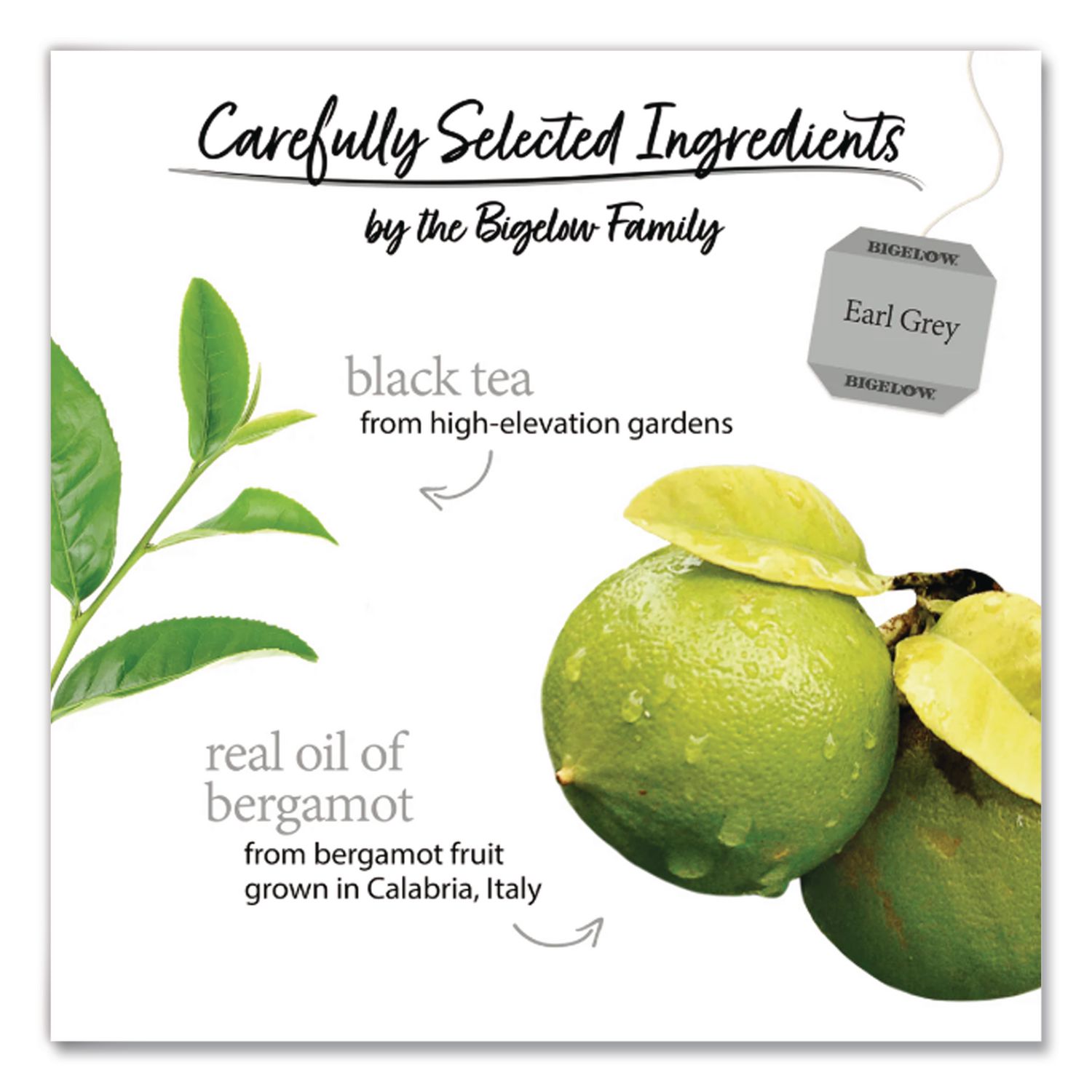 Bigelow RCB003481 Single-Serve-Beverages - Thumbnail View #3
