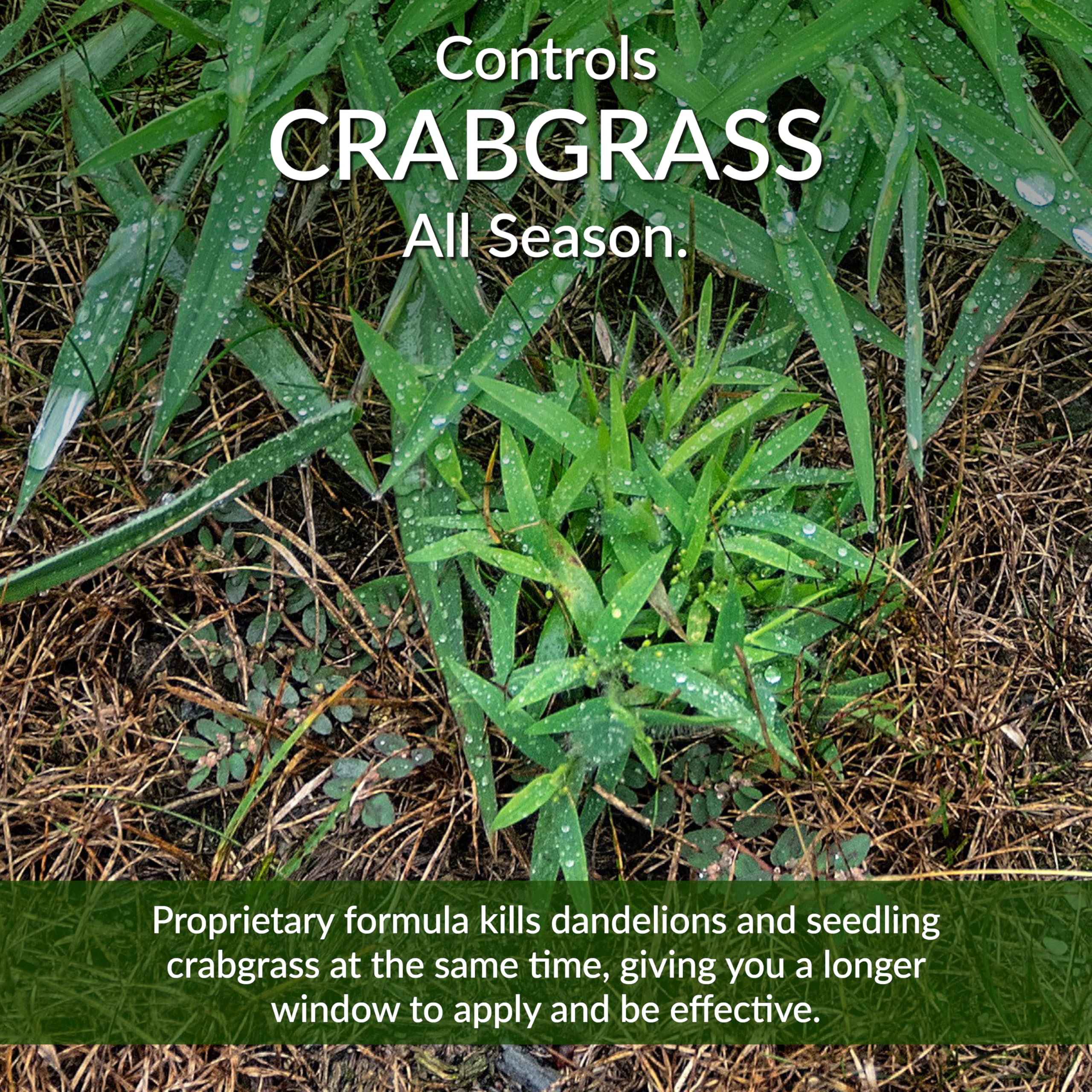 Greenview 21-29173 Lawn-Fertilizer - View #9