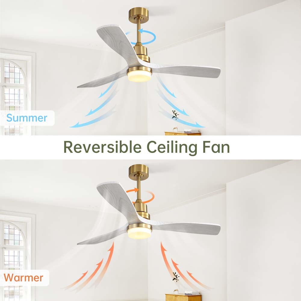  W882P235358L Ceiling-Fans - View #3