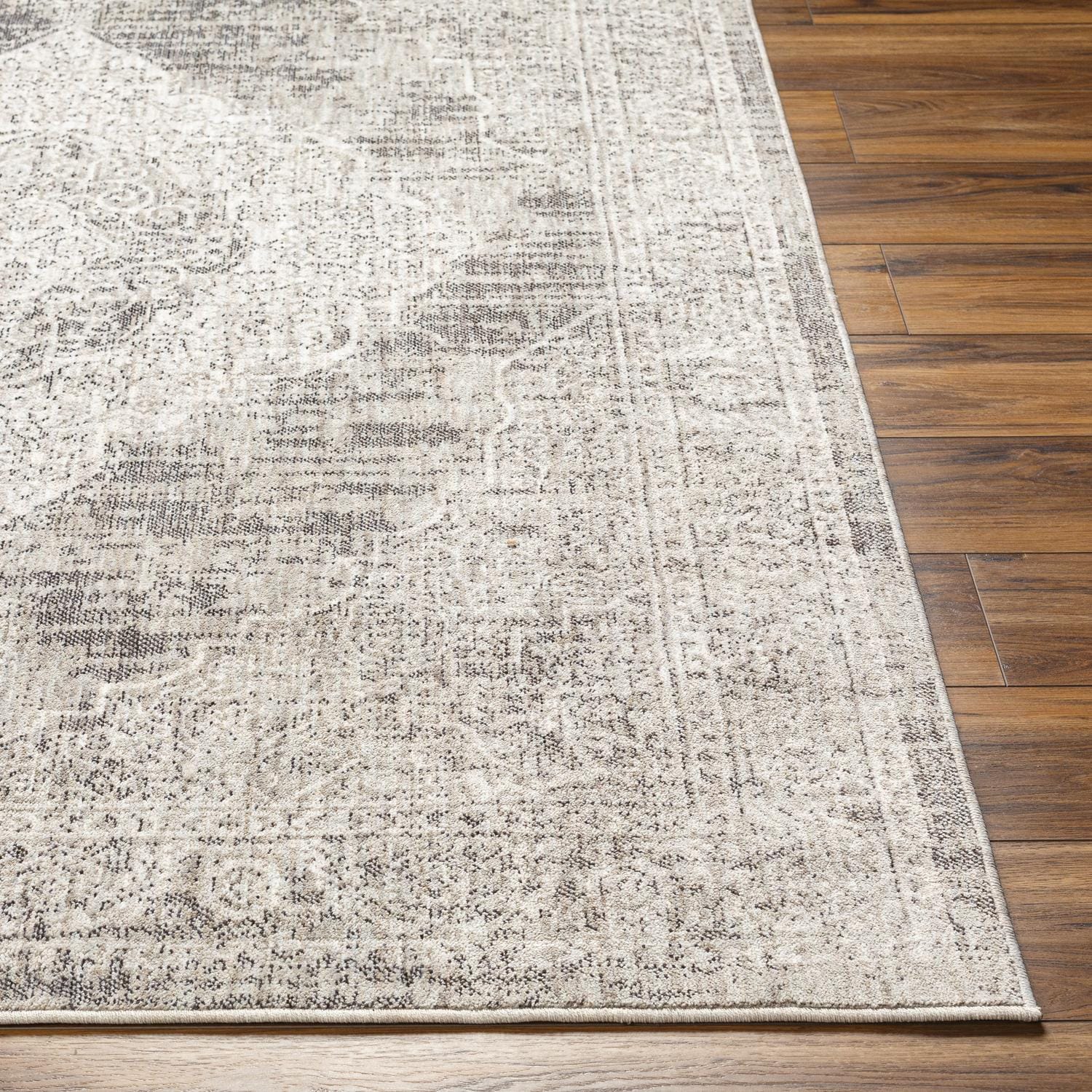 Livabliss JLT2305-71010 rugs - View #3