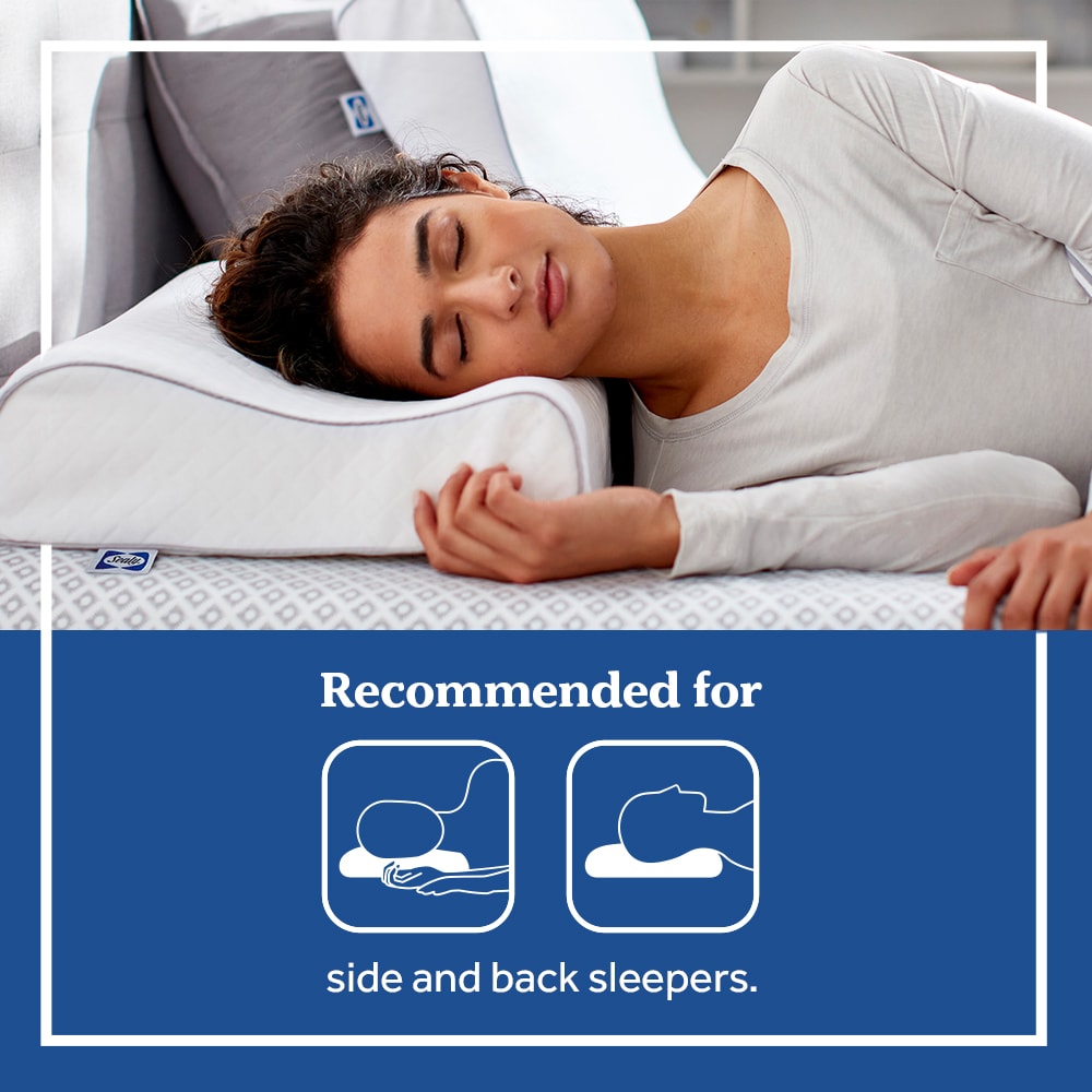 Sealy F01-00787-CP0 Bed-Pillows - View #5