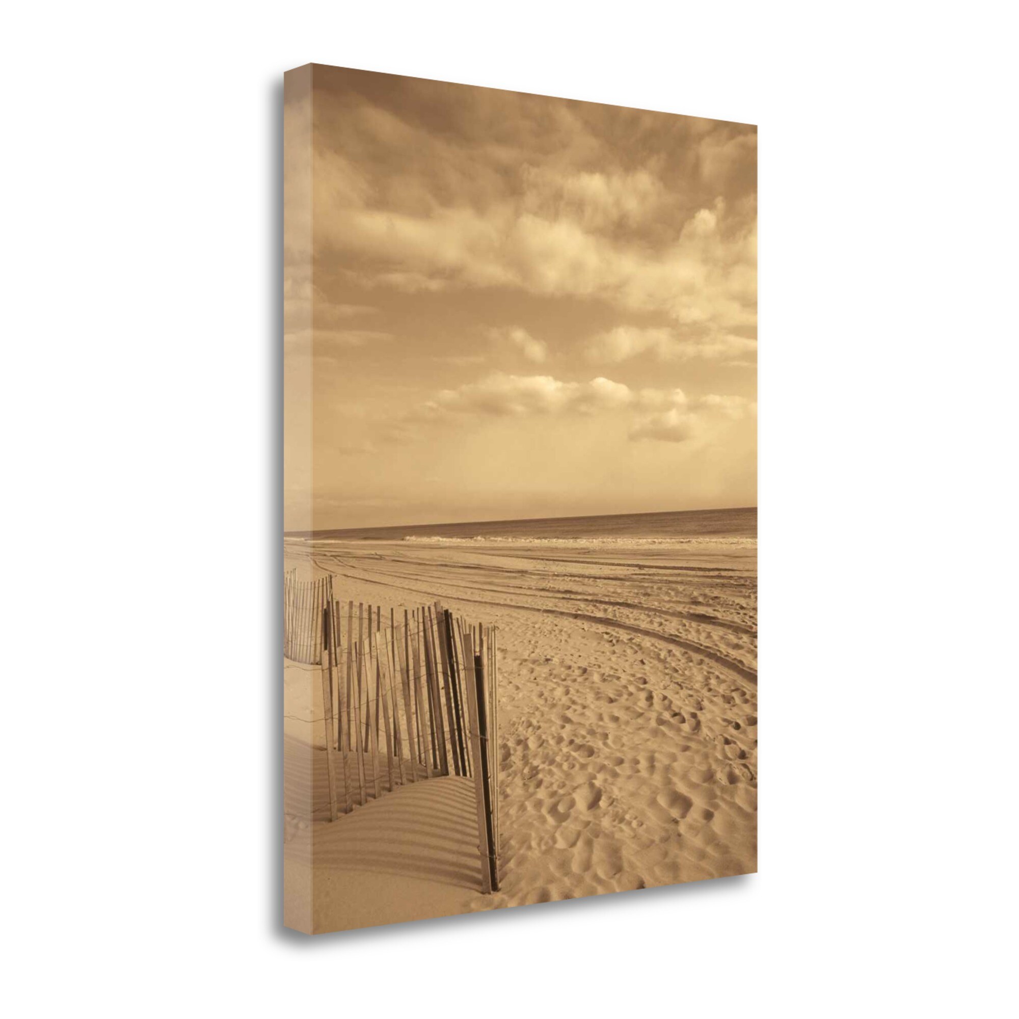 Tangletown Fine Art CA305226-1924C Sand Escape Llc Recent Developments 24-in H x 19-in W Coastal Print on Canvas