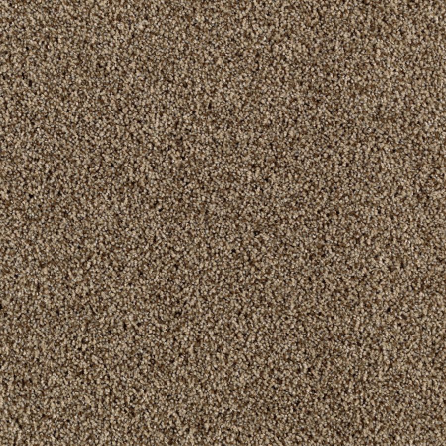 STAINMASTER S622591NOMAD- III (Sample) Essentials Beautiful Design III Nomad Plush Carpet