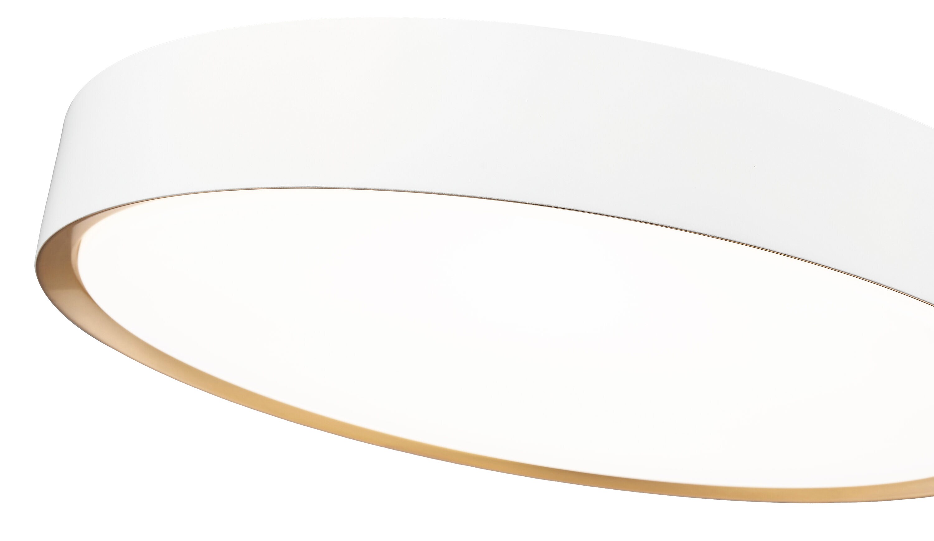Z-Lite 1014F20-MW-MGLD-LED flushmounts - View #6