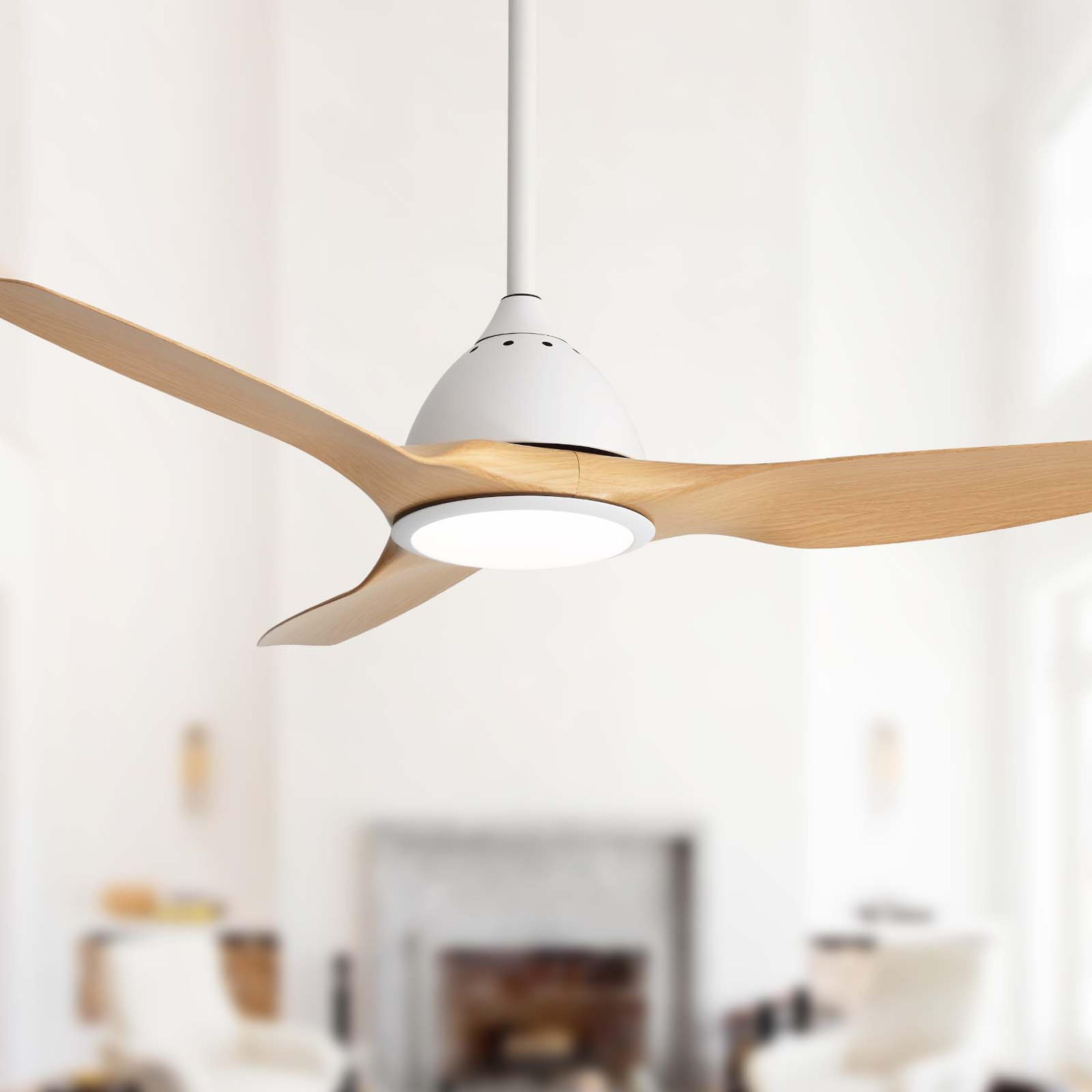 Bayfeve BF-392816-MP Ceiling-Fans - View #6