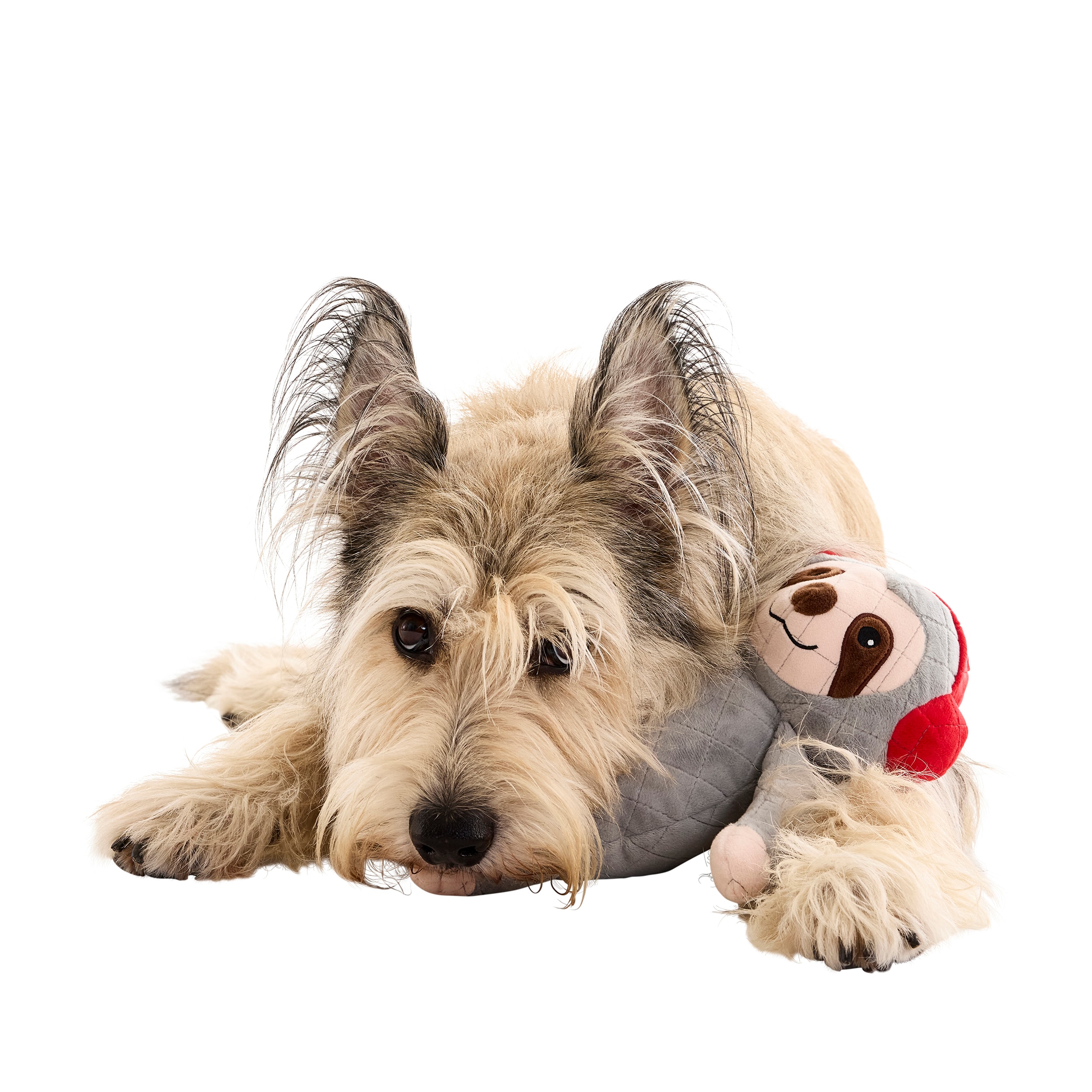 Holiday Living YT2501 Dog-Toys - View #10