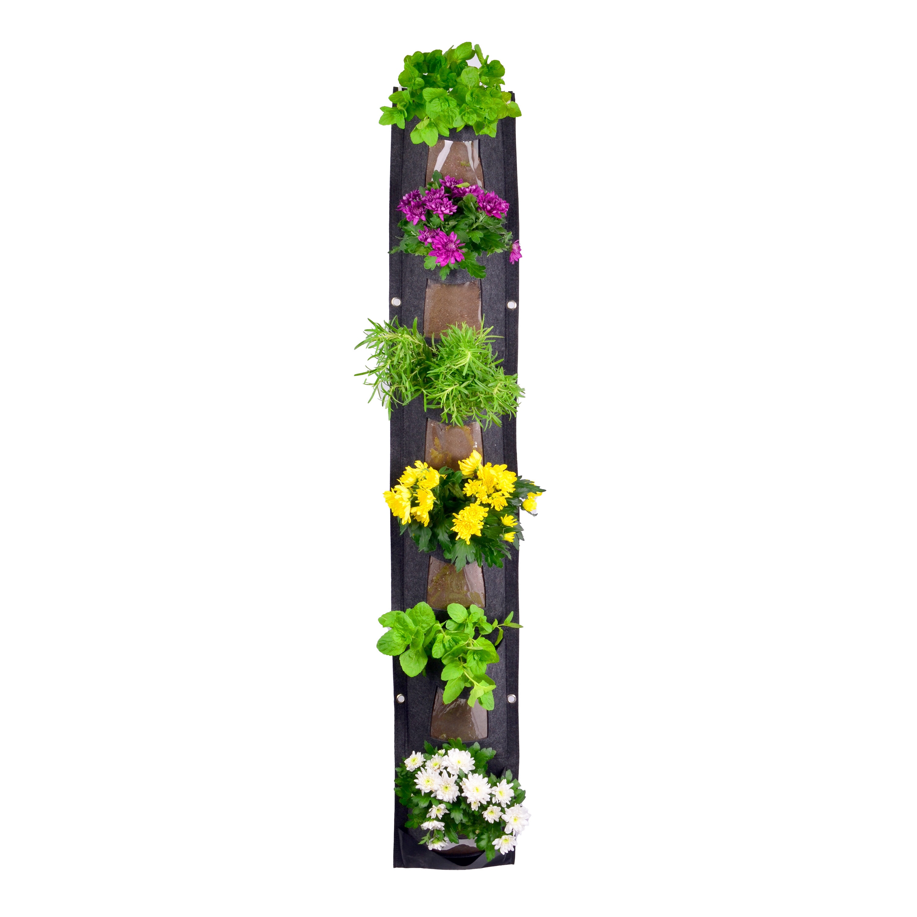 CHARGUY 3 House-Plant-Accessories - View #11