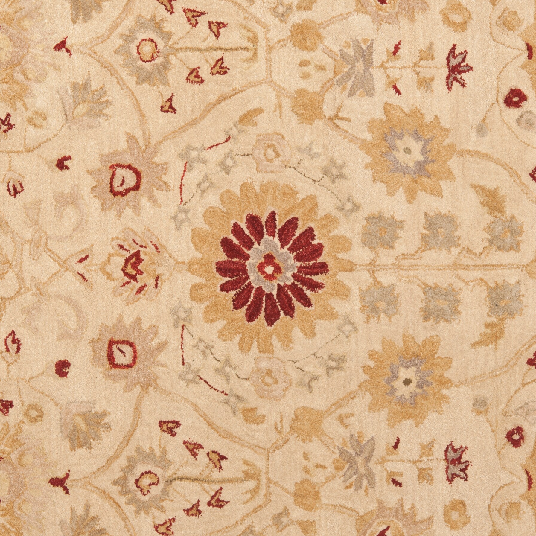 Safavieh AN550A-6SQ rugs - View #3