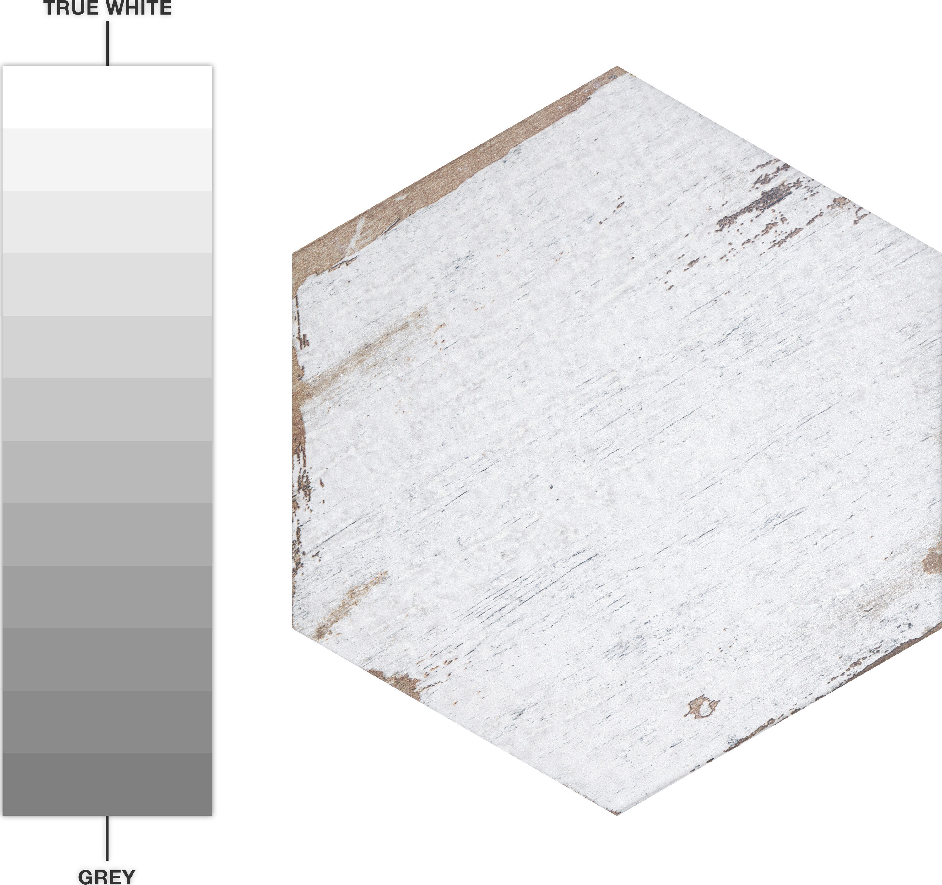 Retro Hex Blanc 7" x 8" Porcelain Hexagon Tile for Walls & Floors