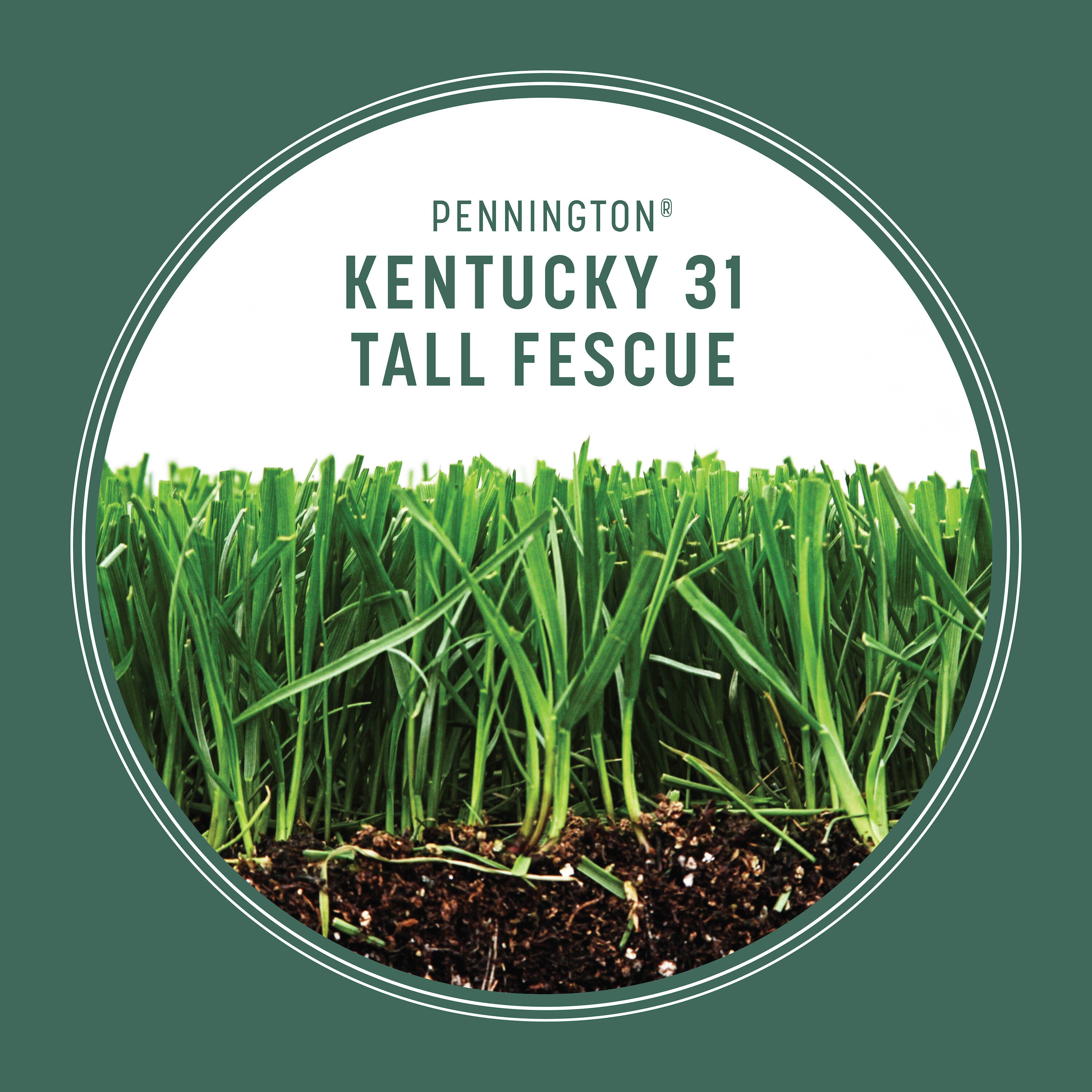 Pennington 2149602260 Grass-Seed - View #5