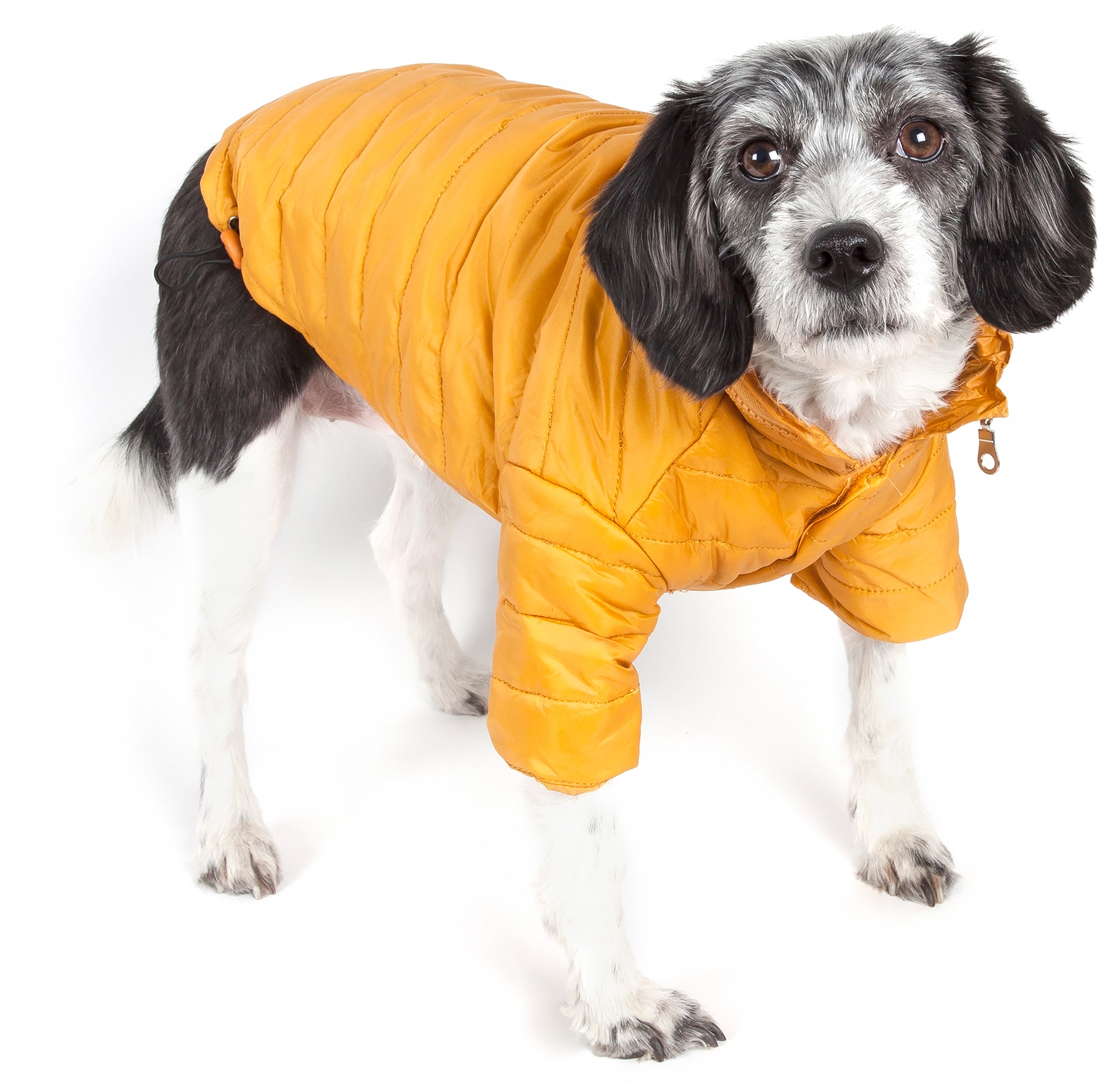 Pet Life Active 'Warf Speed' Heathered Ultra-Stretch Sporty Dog T