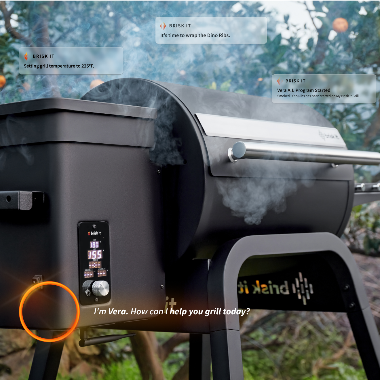 Brisk It BGZ450 Pellet-Grills - View #2