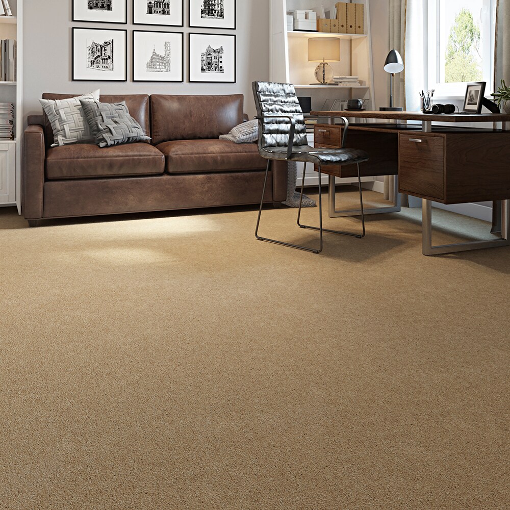 STAINMASTER STP43-12-L012 Carpet-Panel - View #3