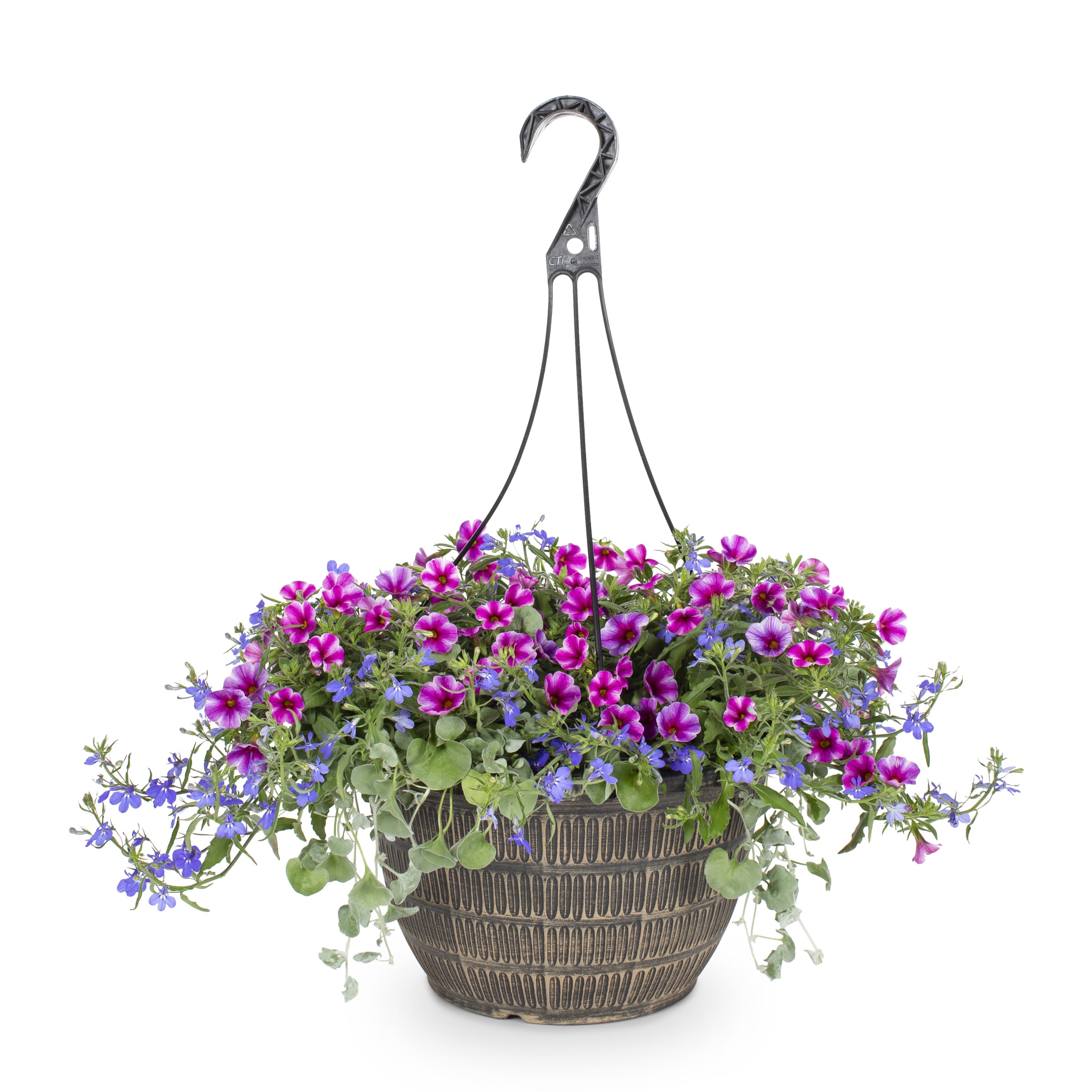 Lowe's Multicolor Mixed Annuals Combinations in 2-Gallon Hanging Basket ...