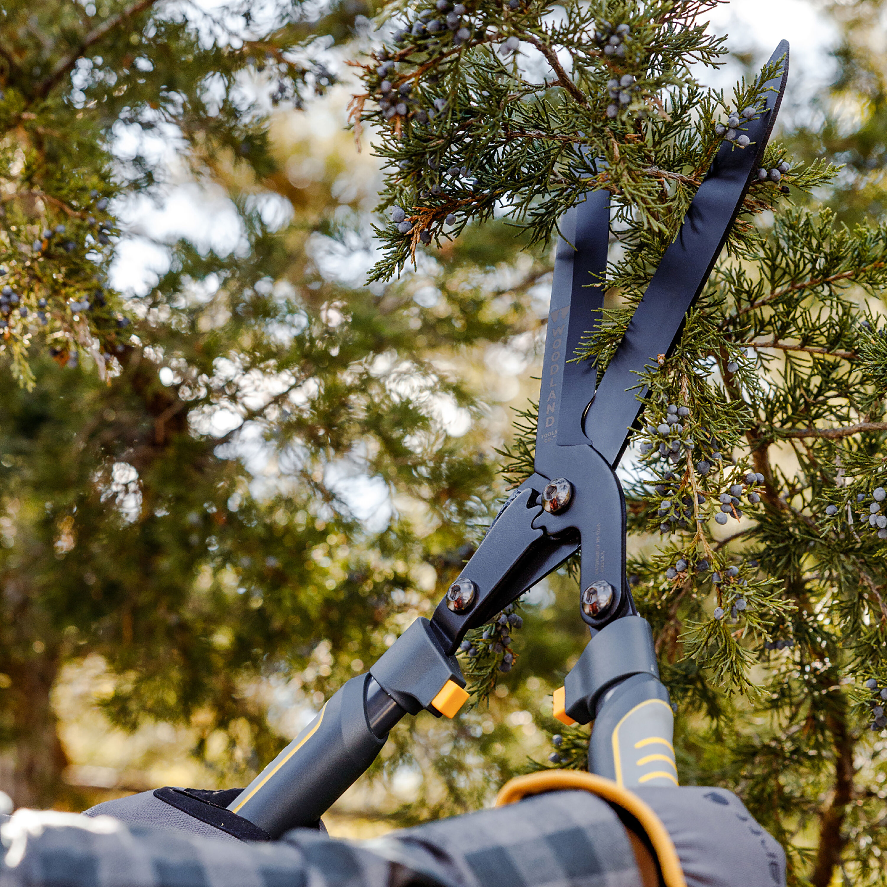Woodland Tools 20-4003-100 Speciality-Garden-Hand-Tools - View #6