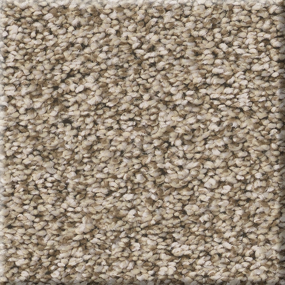 STAINMASTER 7L855 - 710 - SAMP (Sample) Welcome Retreat I Sand Hill Brown 43.9-oz sq yard Polyester Textured Indoor Carpet