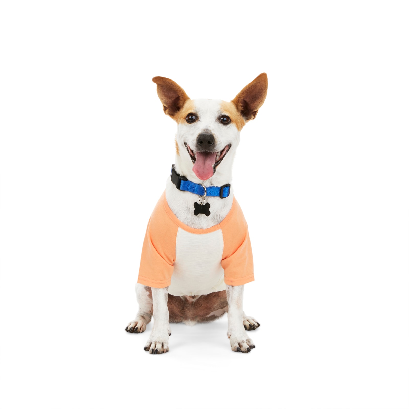 Youly Orange Dog Shirt X-large (91- 110 in the Pet Clothing at Lowes.com