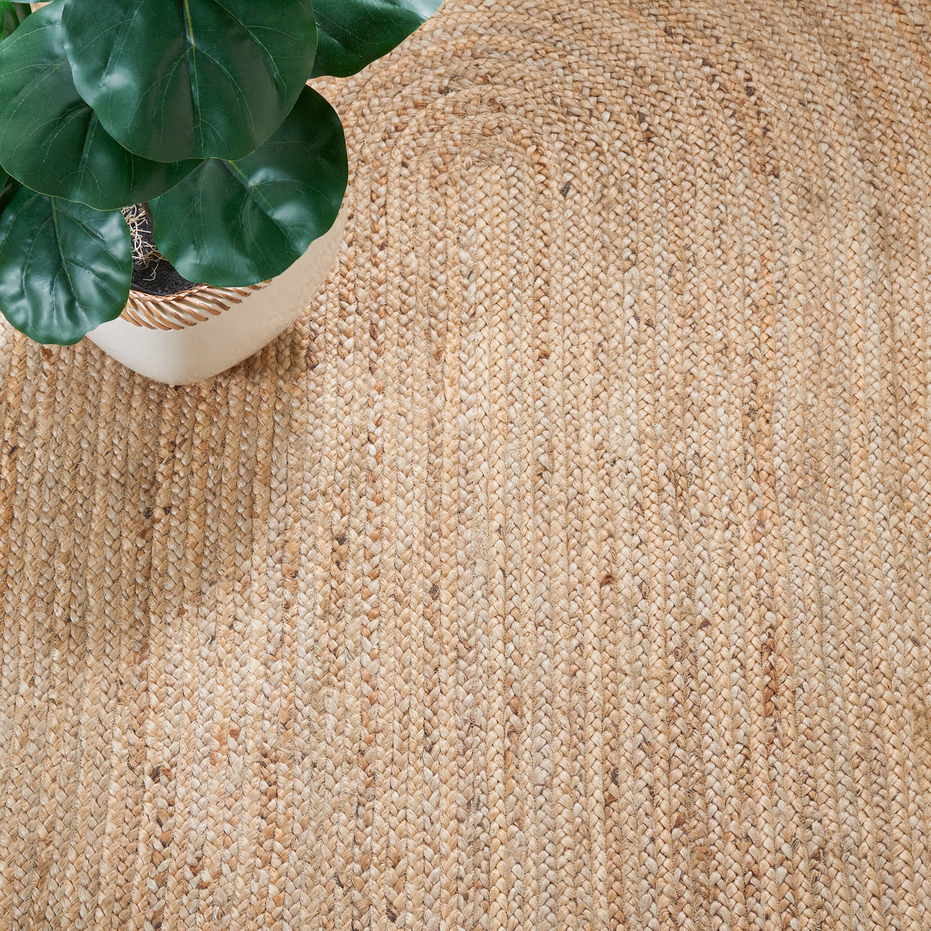 Safavieh NFB261Y-5OV rugs - View #3