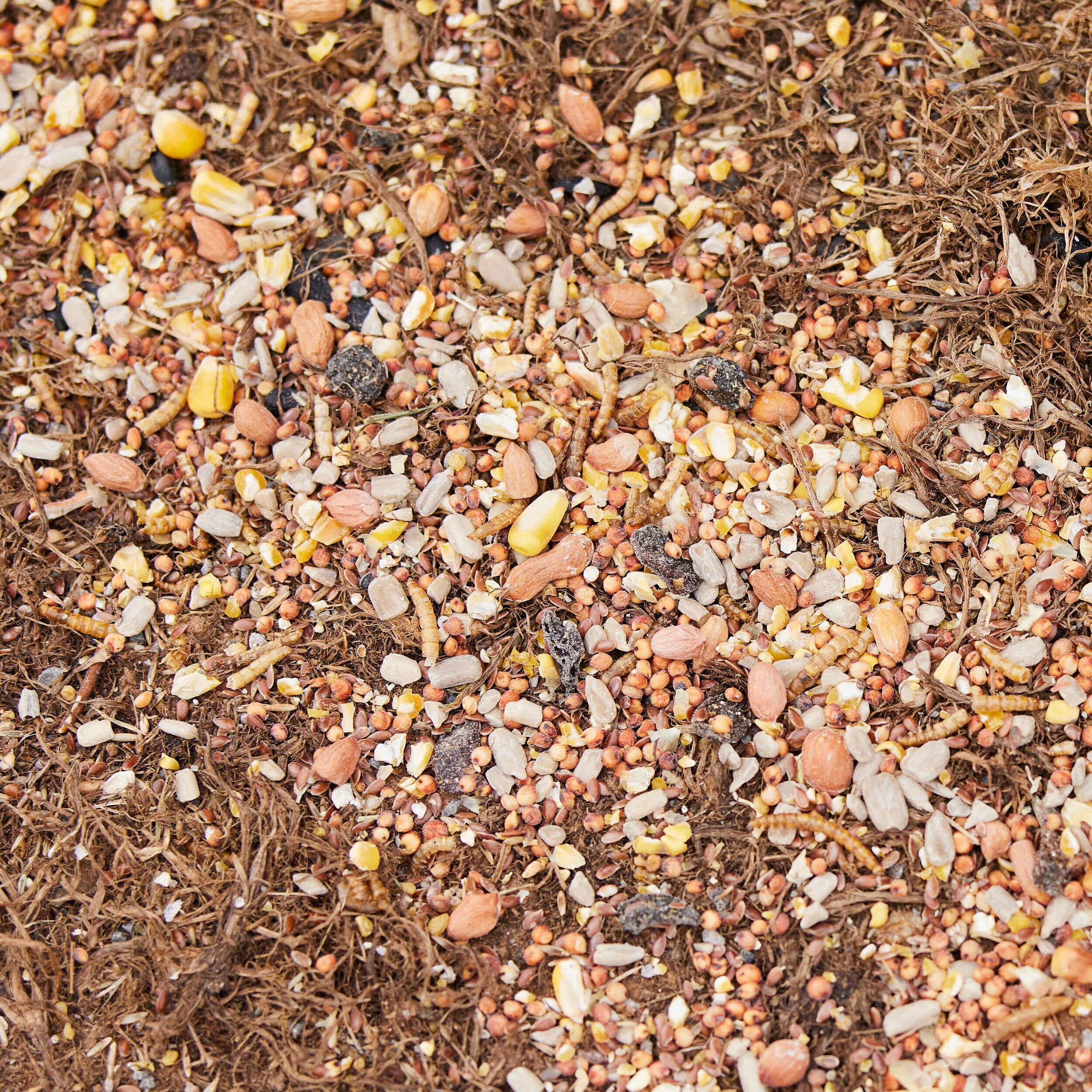 Pecking Order 009326 Poultry-Feed - View #2