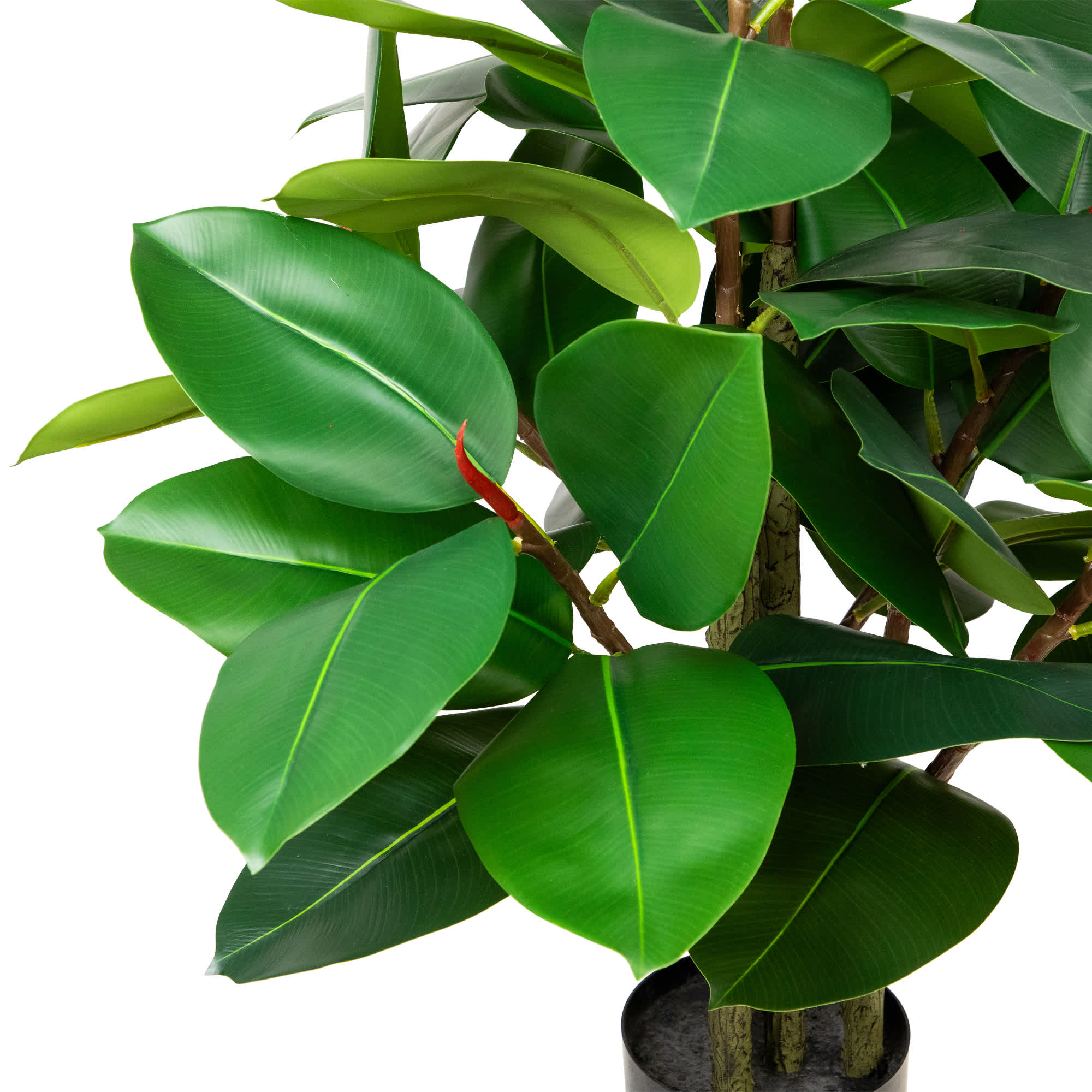 Northlight NORTHLIGHT SM97479 Artificial-Plants-Trees - View #5
