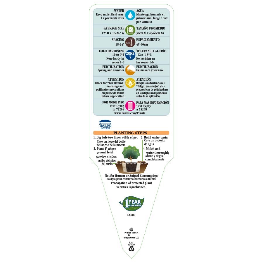 Lowe's 3936013 perennials - View #3
