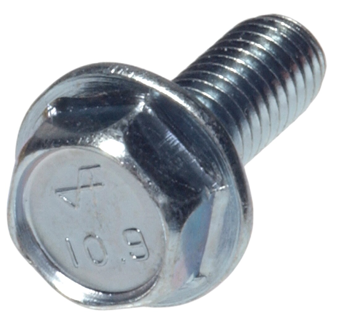 Hillman 59709 6-mm 1 Socket Hex-Drive Machine Screws (15-Count)